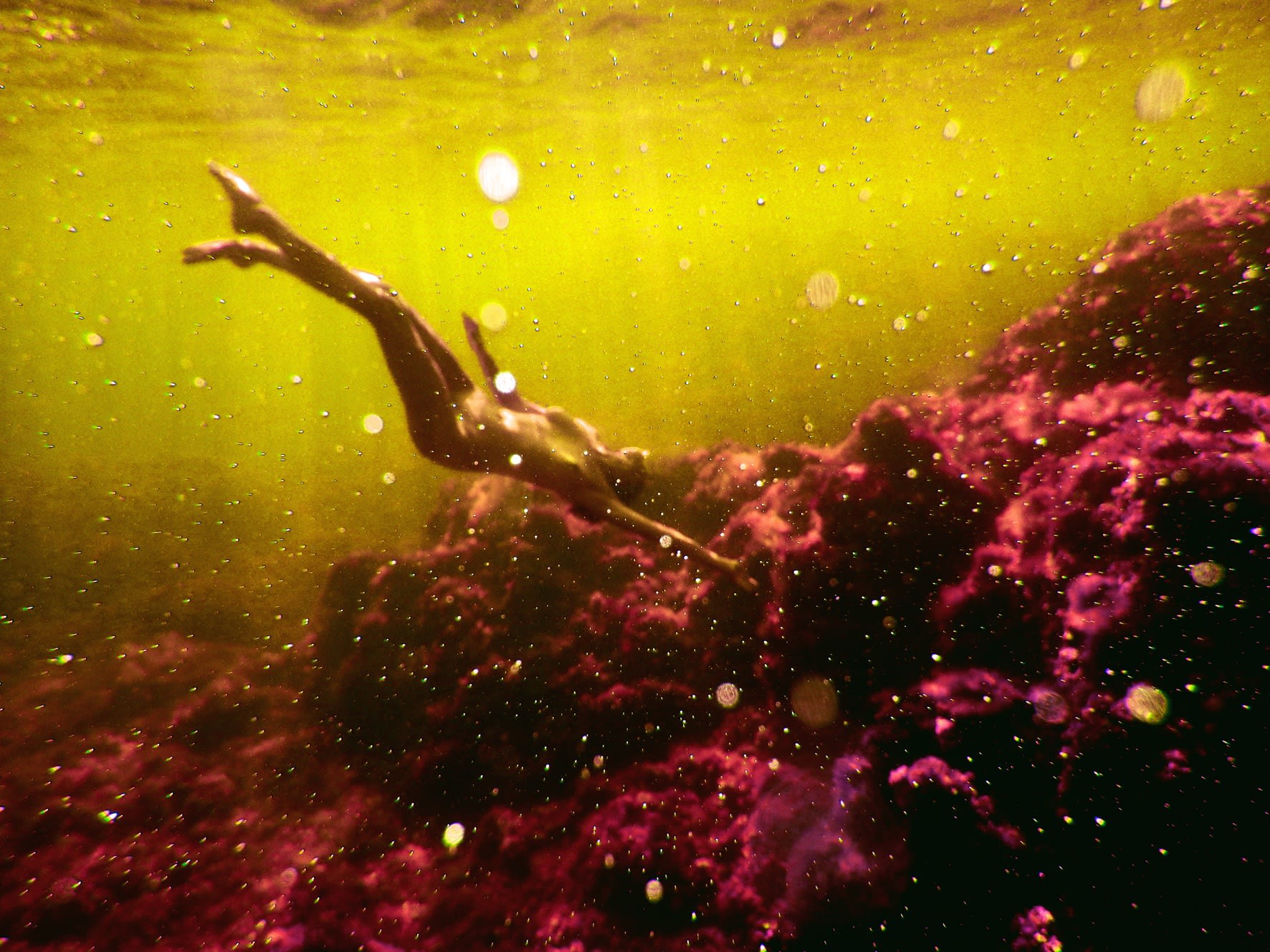 Kate Bellm ANNA, 2014Printed on Hahnemühle Rag Photo Paper70 x 95 cmEdition 1 of 5 plus 2 AP