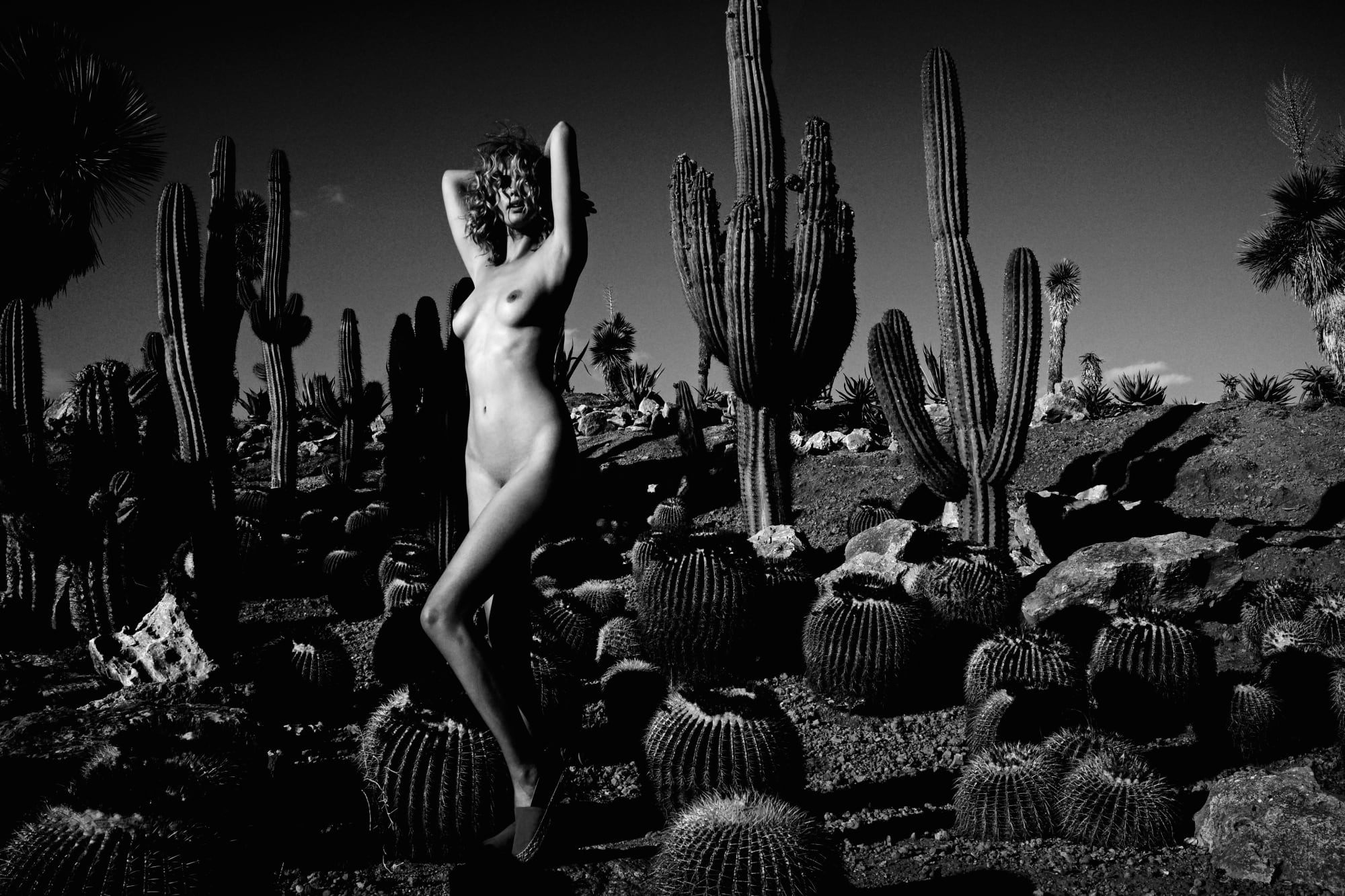 Kate Bellm Cactus Land, Majorca, 2014Printed on Hahnemühle Rag Photo Paper20 x 30 cmEdition 2 of 5 plus 2 AP