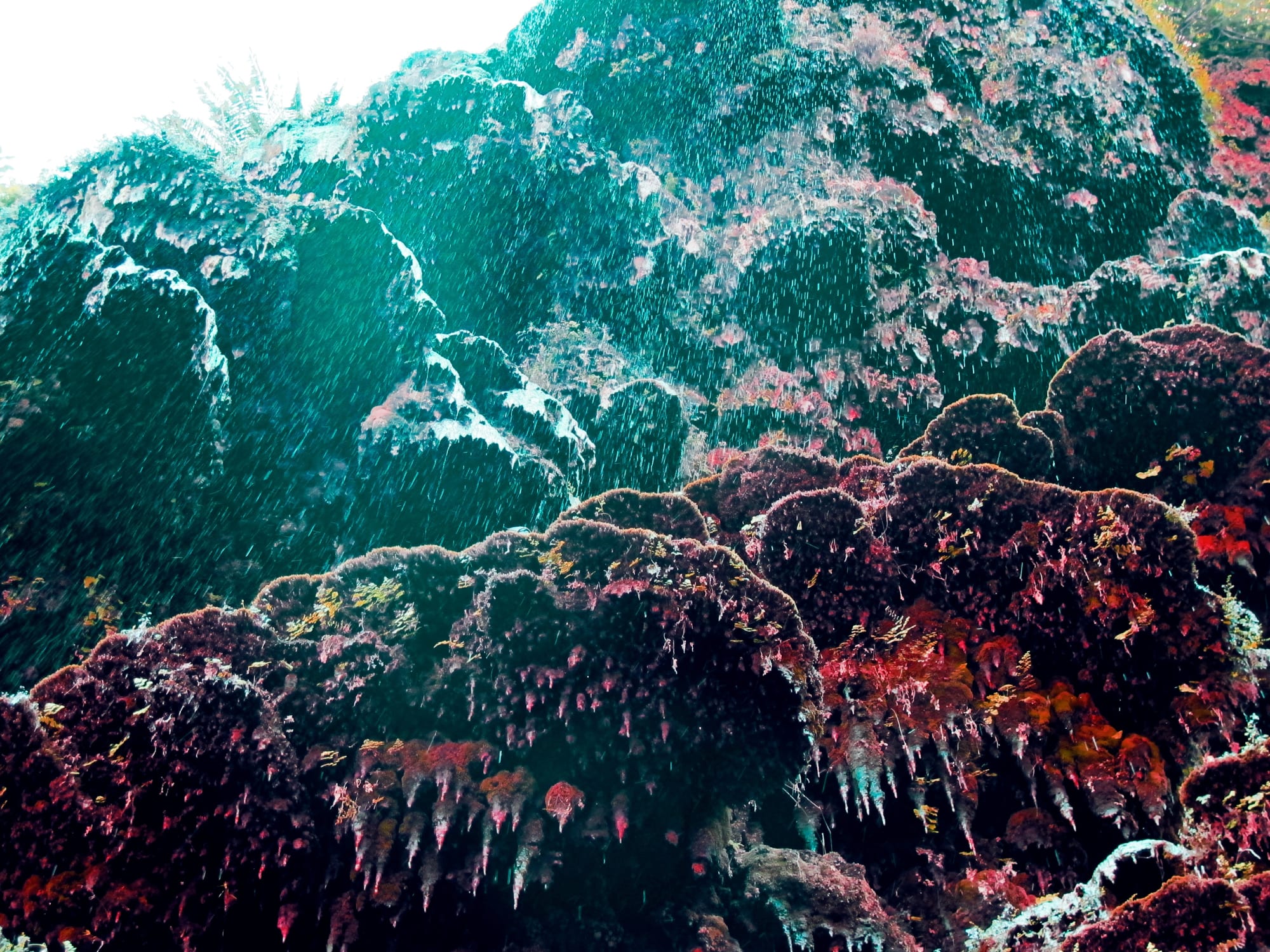 Kate Bellm Mushroom Falls, India, 2012Printed on Hahnemühle Rag Photo Paper20 x 30 cmEdition 2 of 5 plus 2 AP