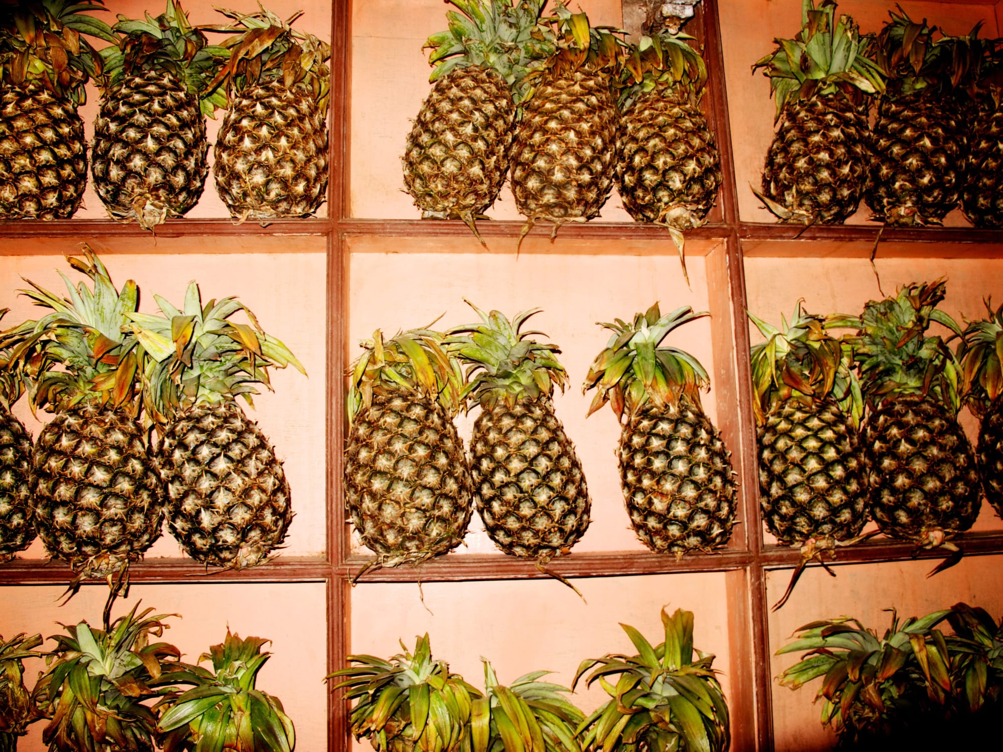 Kate Bellm Pineapple Shop, India, 2012Printed on Hahnemühle Rag Photo Paper67 x 90 cmEdition 1 fo 5 plus 2 AP