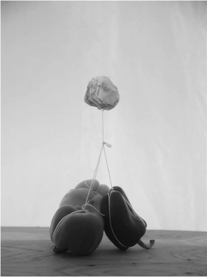Alejandro Almanza Pereda Rock Peppers, 2015 Archival pigment print on cotton paper 80 x 60 x 3 cm Edition 1 of 5 plus 2 AP (AAP 002)