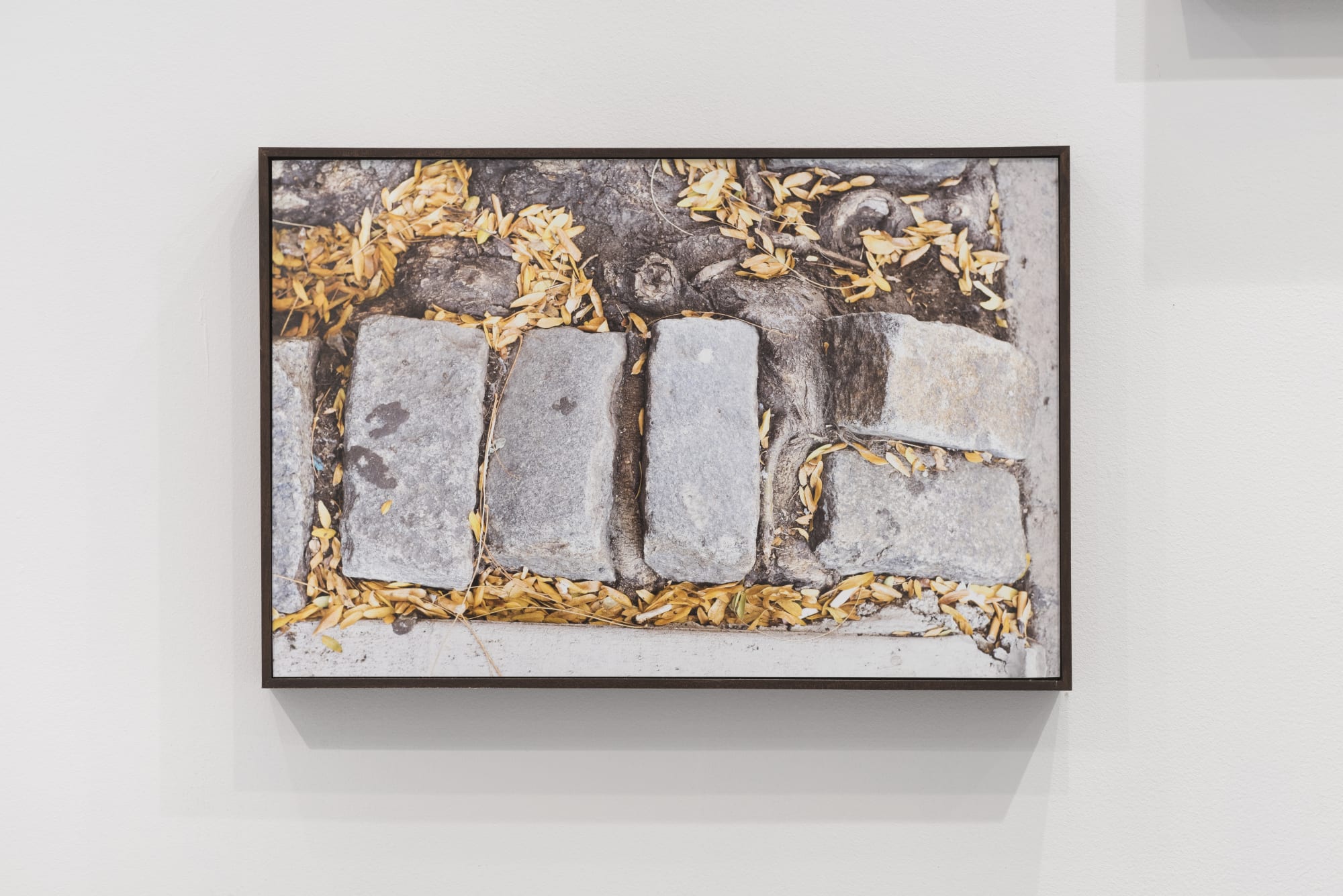 Polis (phusis), III, 2016 Glicee print 52 x 34.5 cm Edition of 3