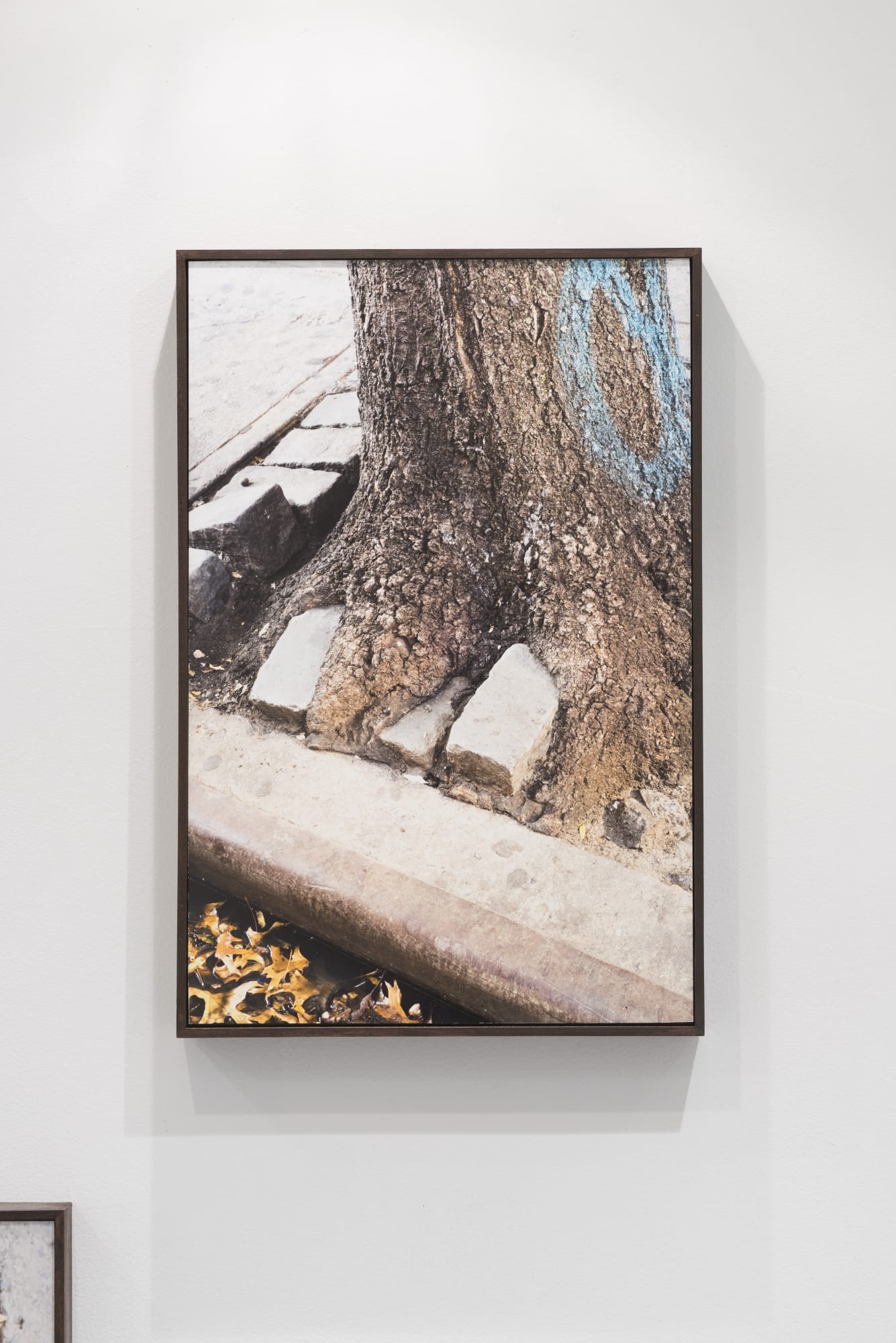 Polis (phusis), II, 2016 Glicee print 34.6 x 52 cm Edition of 3