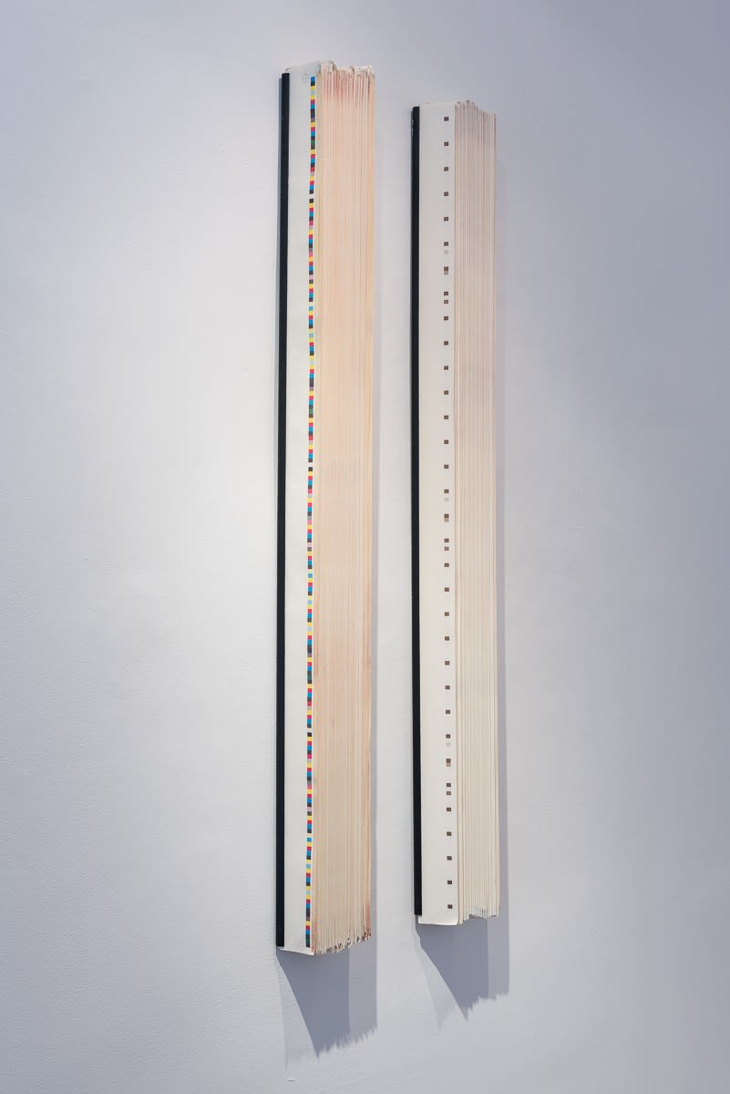 The clock has no place in the woods