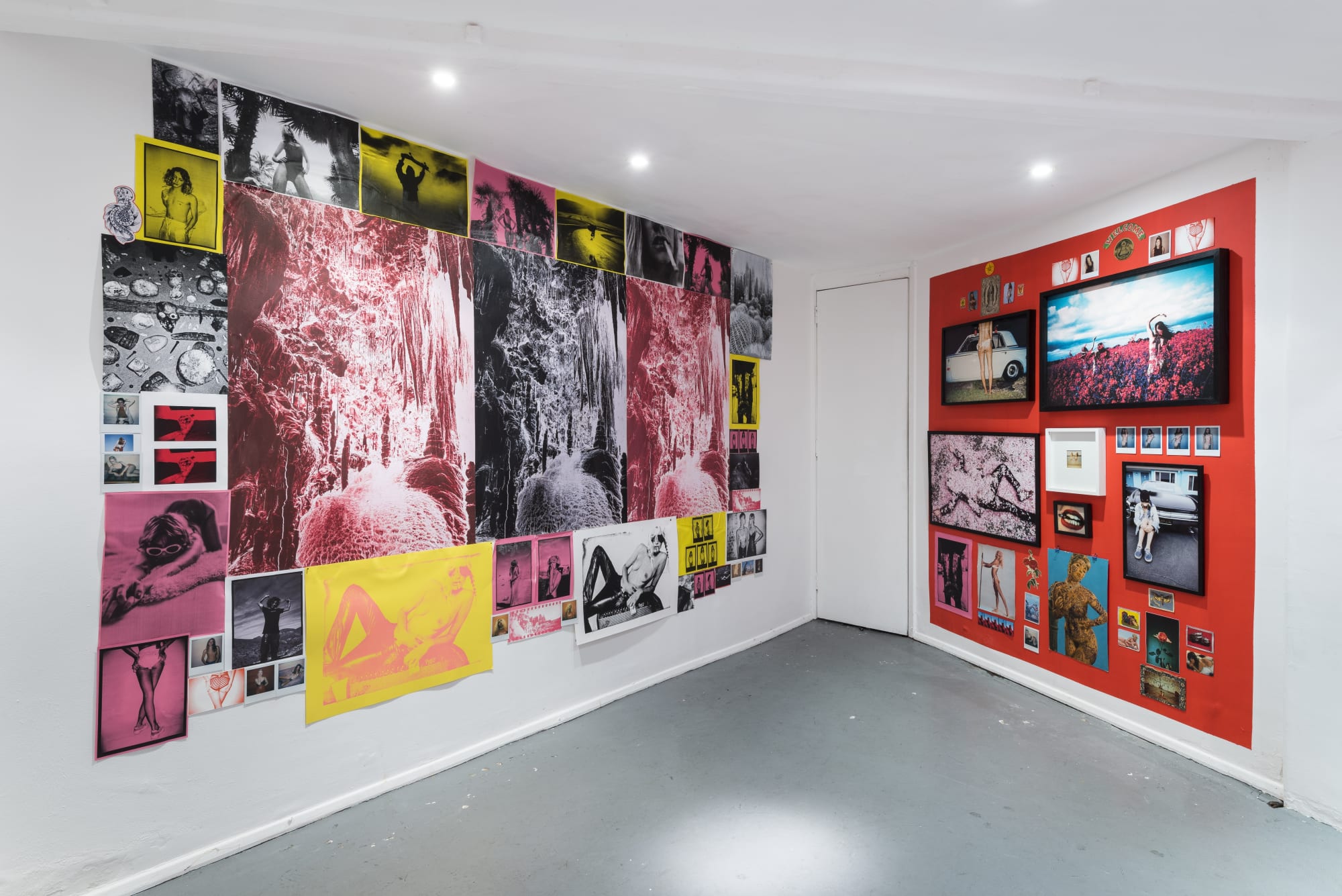 Night Sky Rising, Kate Bellm