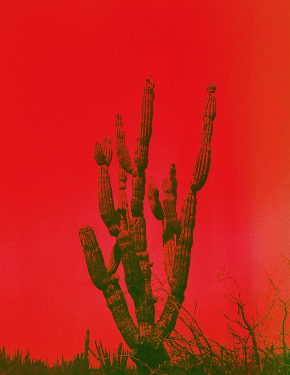 Baja, 2017 Printed on Hahnemühle Rag Paper 34 x 44 cm Edition 1 of 5 plus 2 AP (KB 101)