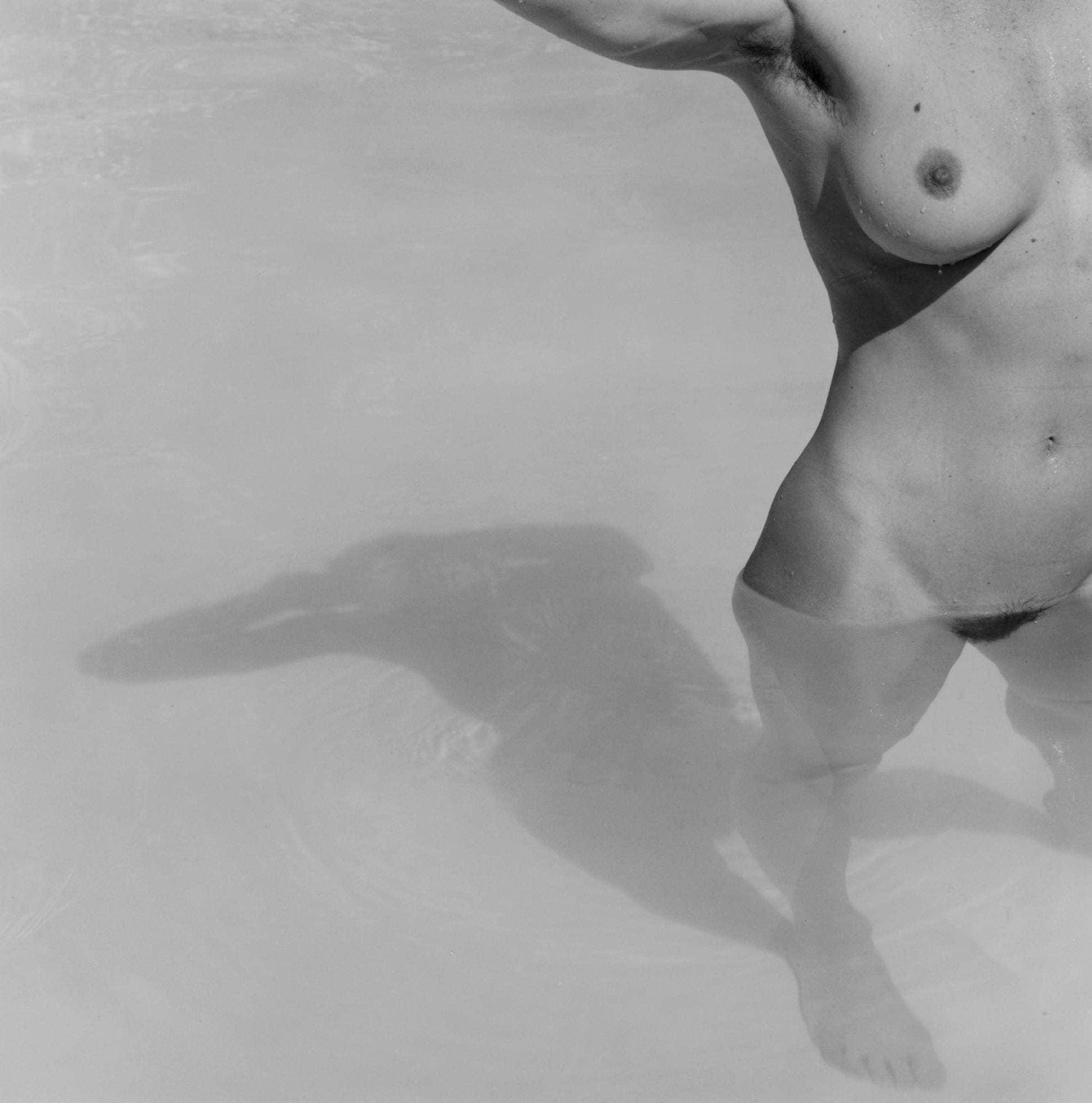 Robert Mapplethorpe Lisa Lyon, 1982 Gelatin silver print