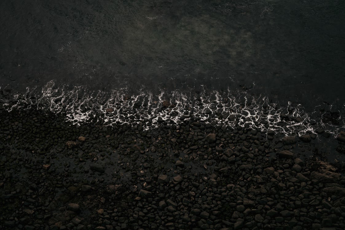 Layla Motta Fraga, 2019 Photograph on canvas