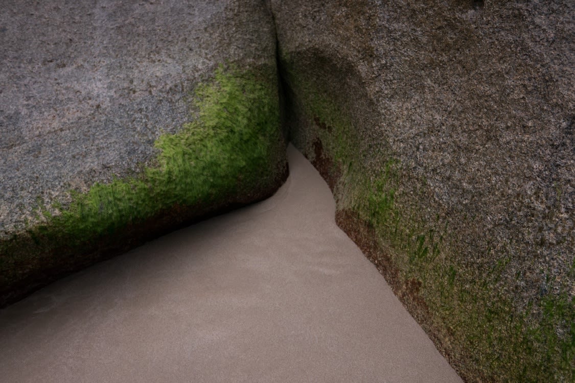 Layla Motta Quina, 2019 Photograph on canvas