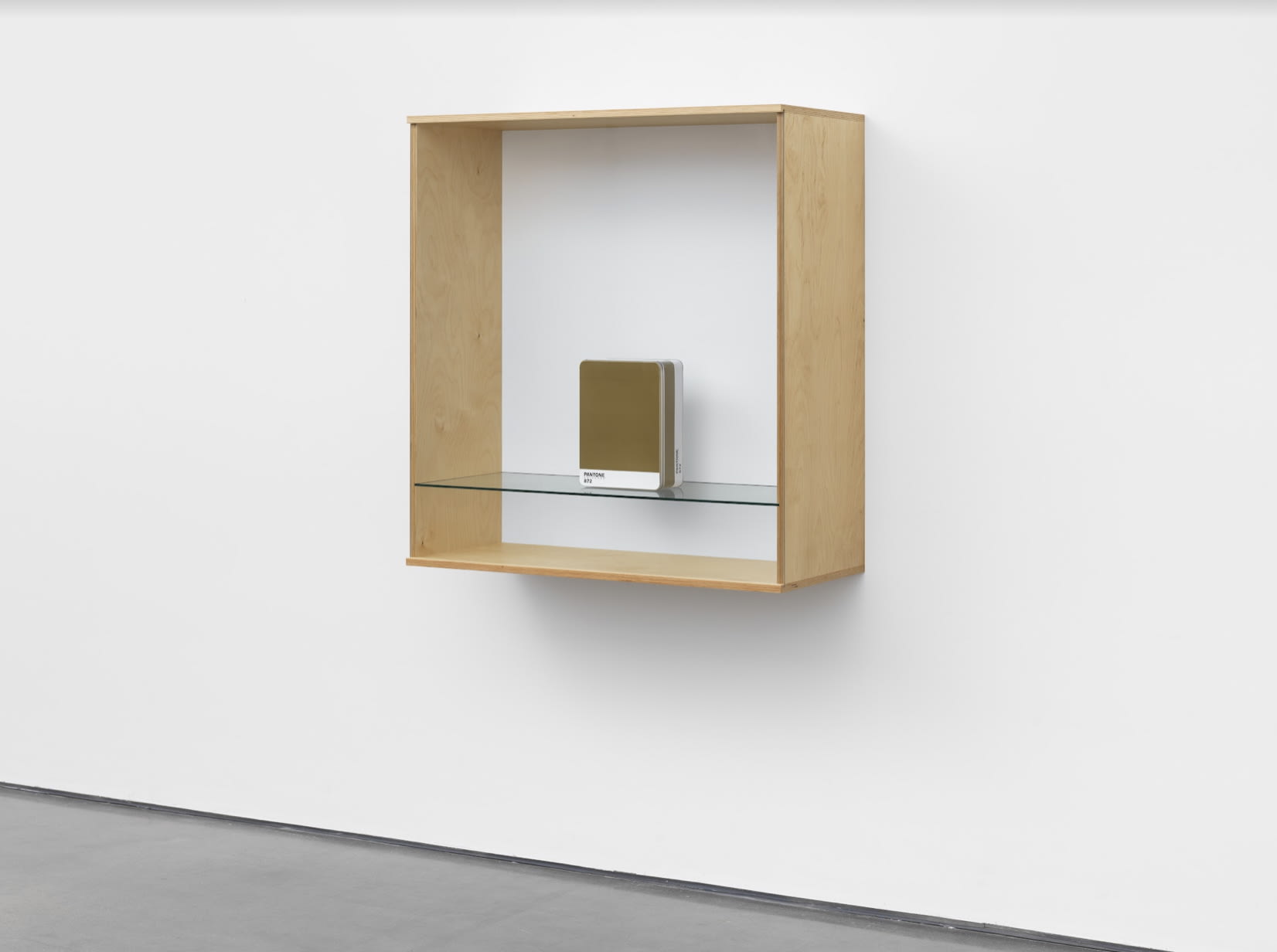 Haim Steinbach Untitled (Pantone 872), 2016 Baltic birch plywood, plastic laminate and glass box, metal Pantone storage box