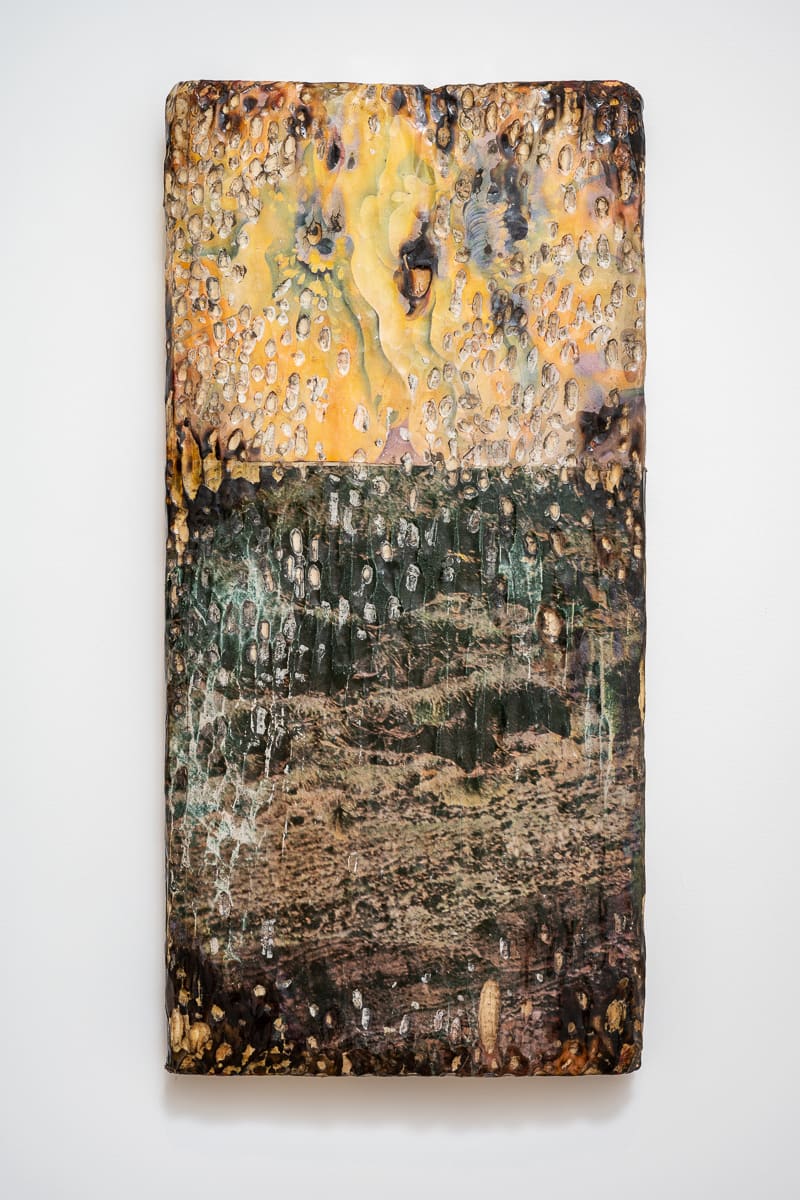 Anderson Borba Orchid, 2021 Wood, magazines, varnish and linseed oil