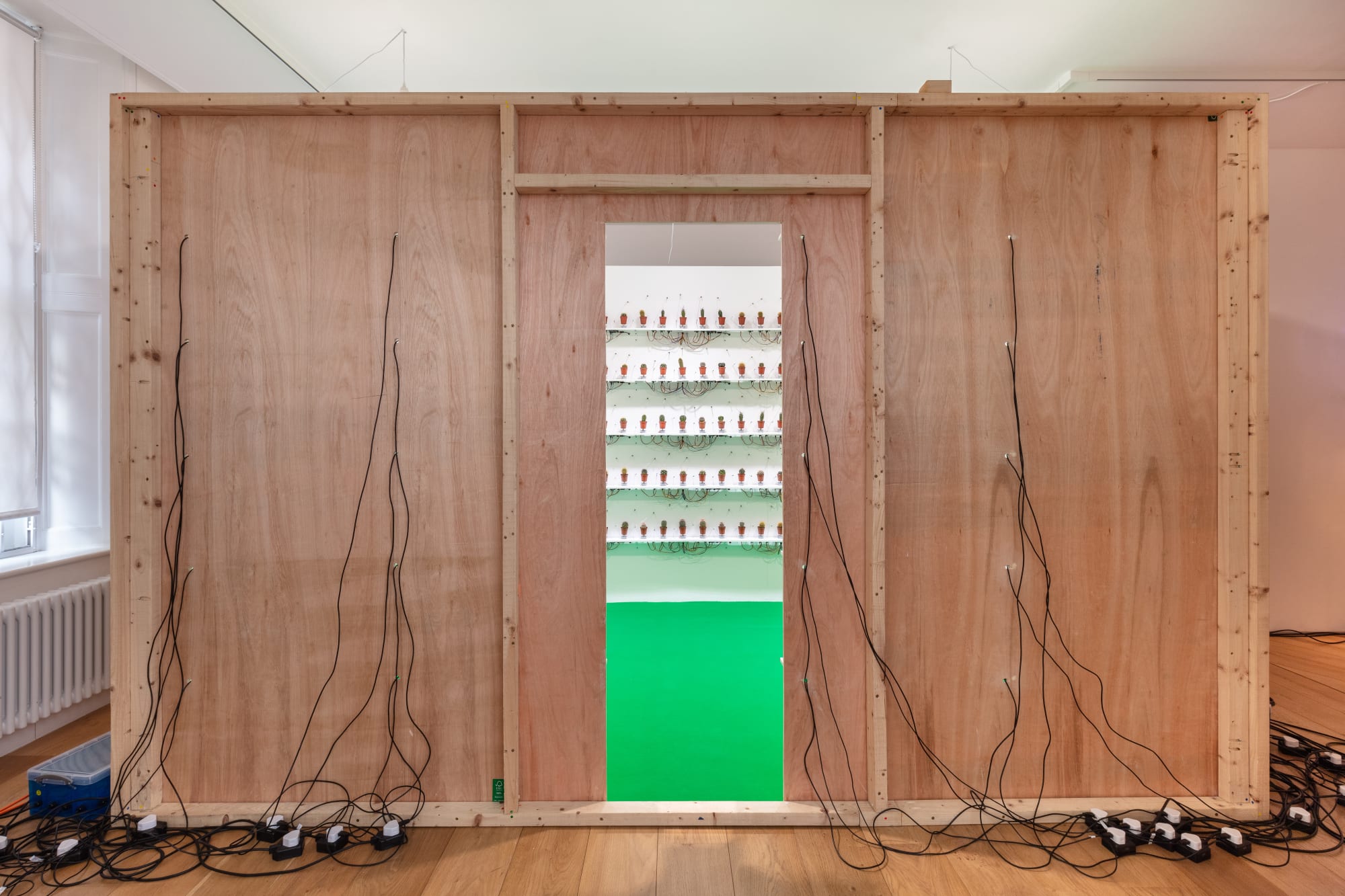 Clara Hastrup: Organic Behaviours