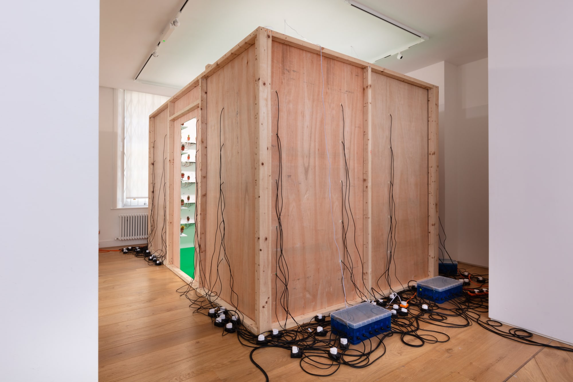 Clara Hastrup: Organic Behaviours