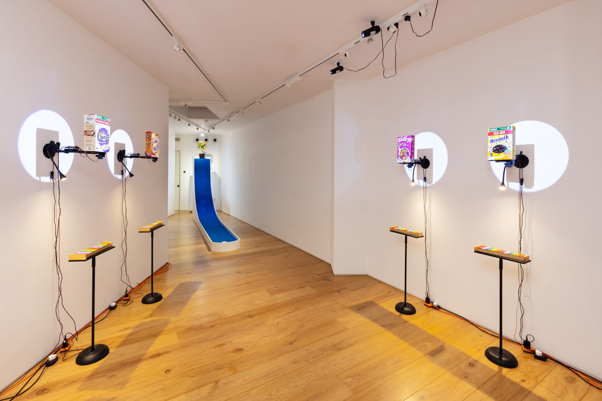 Clara Hastrup: Organic Behaviours