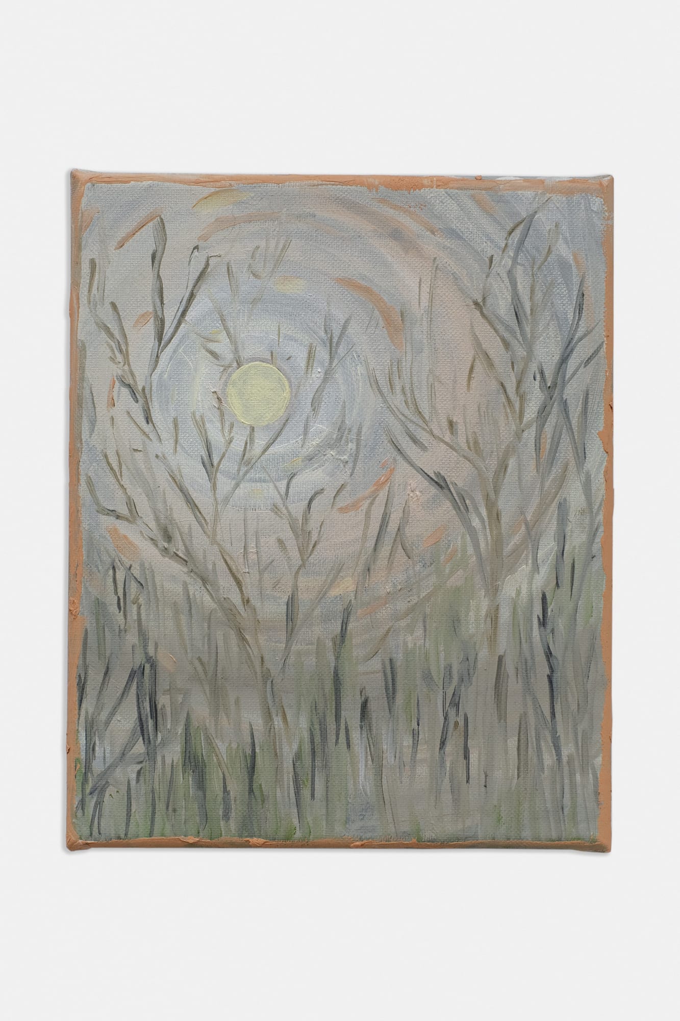 Renata de Bonis Soft light, 2024 Oil and wax on linen