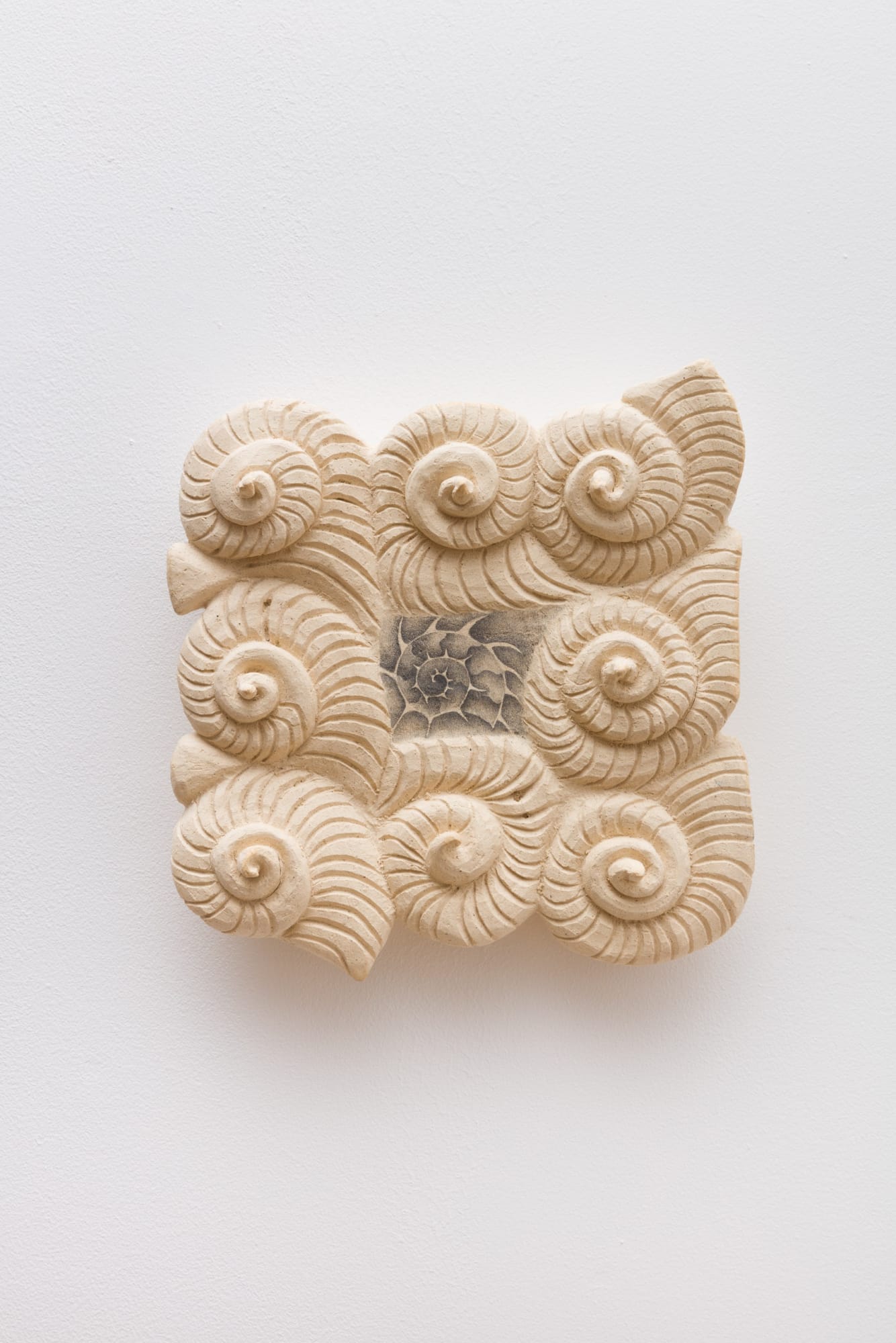 Ayla Tavares fossil 6, 2024 Graphite on ceramic