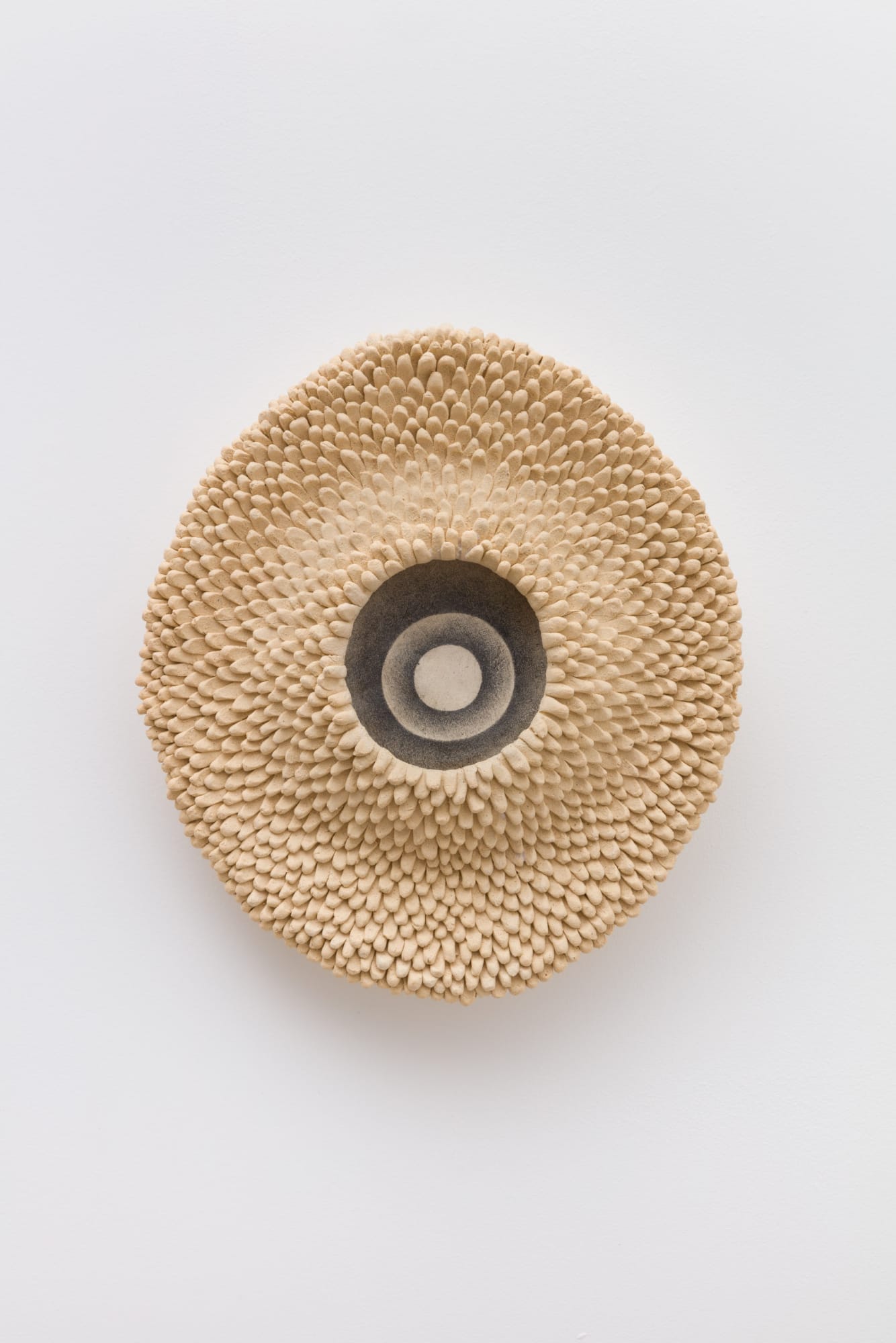 Ayla Tavares coral 4, 2024 Graphite on ceramic