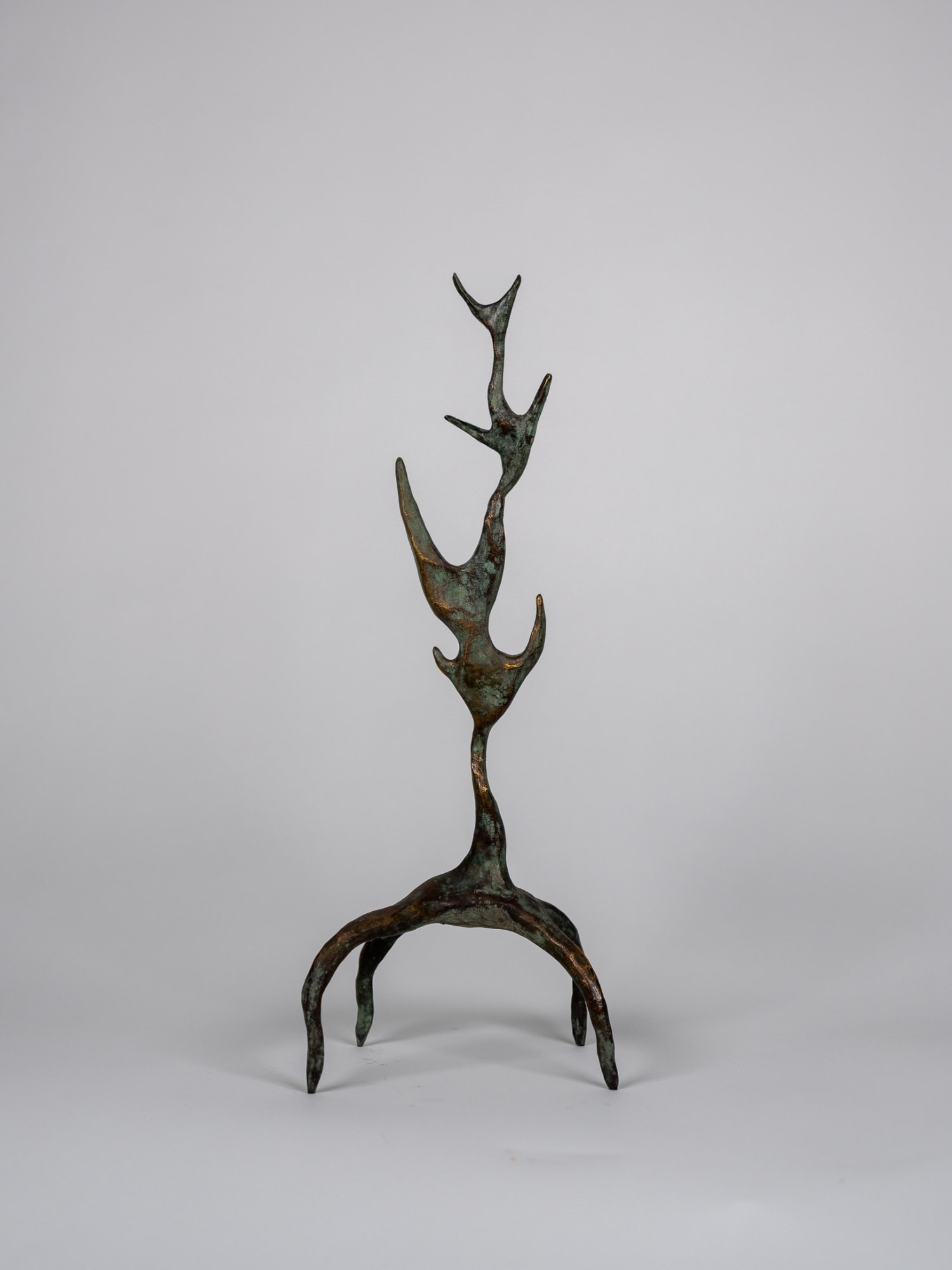 Sol Bailey Barker Gossamer, 2022 Bronze