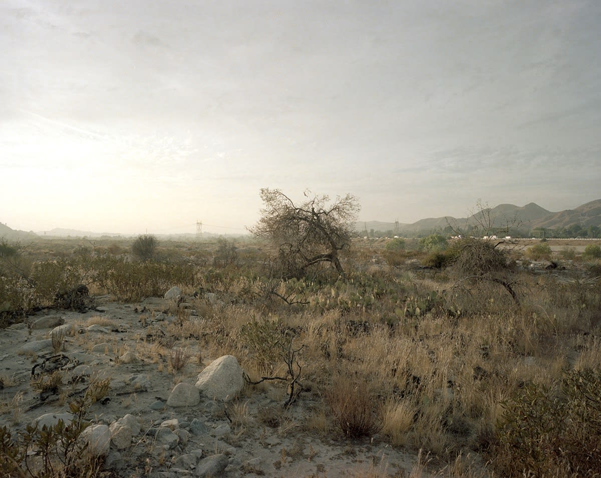 Mark Ruwedel, Selections from Four Ecologies