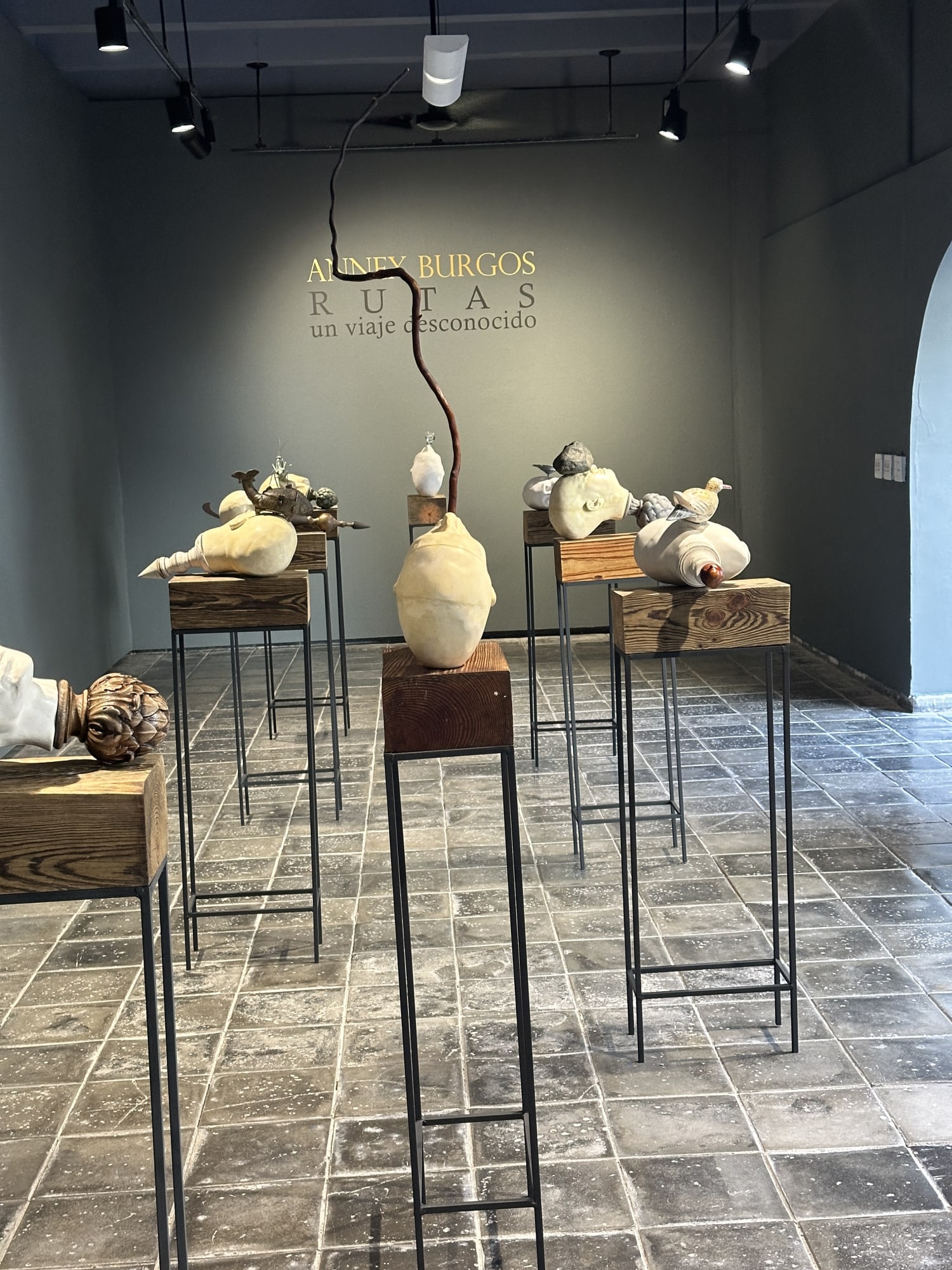 Annex Burgos, Rutas un viaje desconocido
