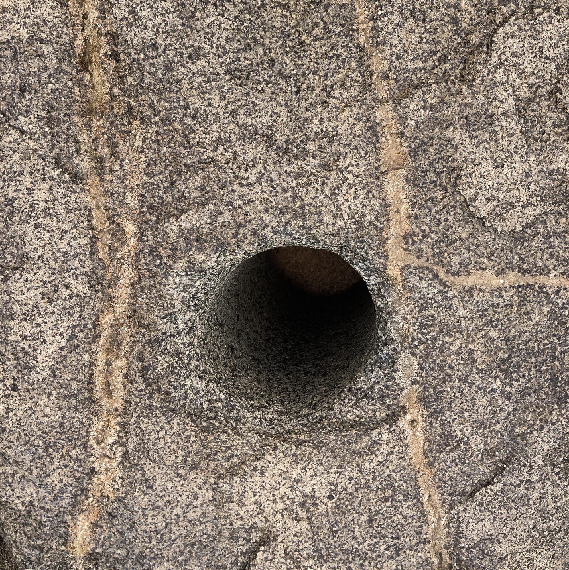 Dhara Rivera, Violencia al filo