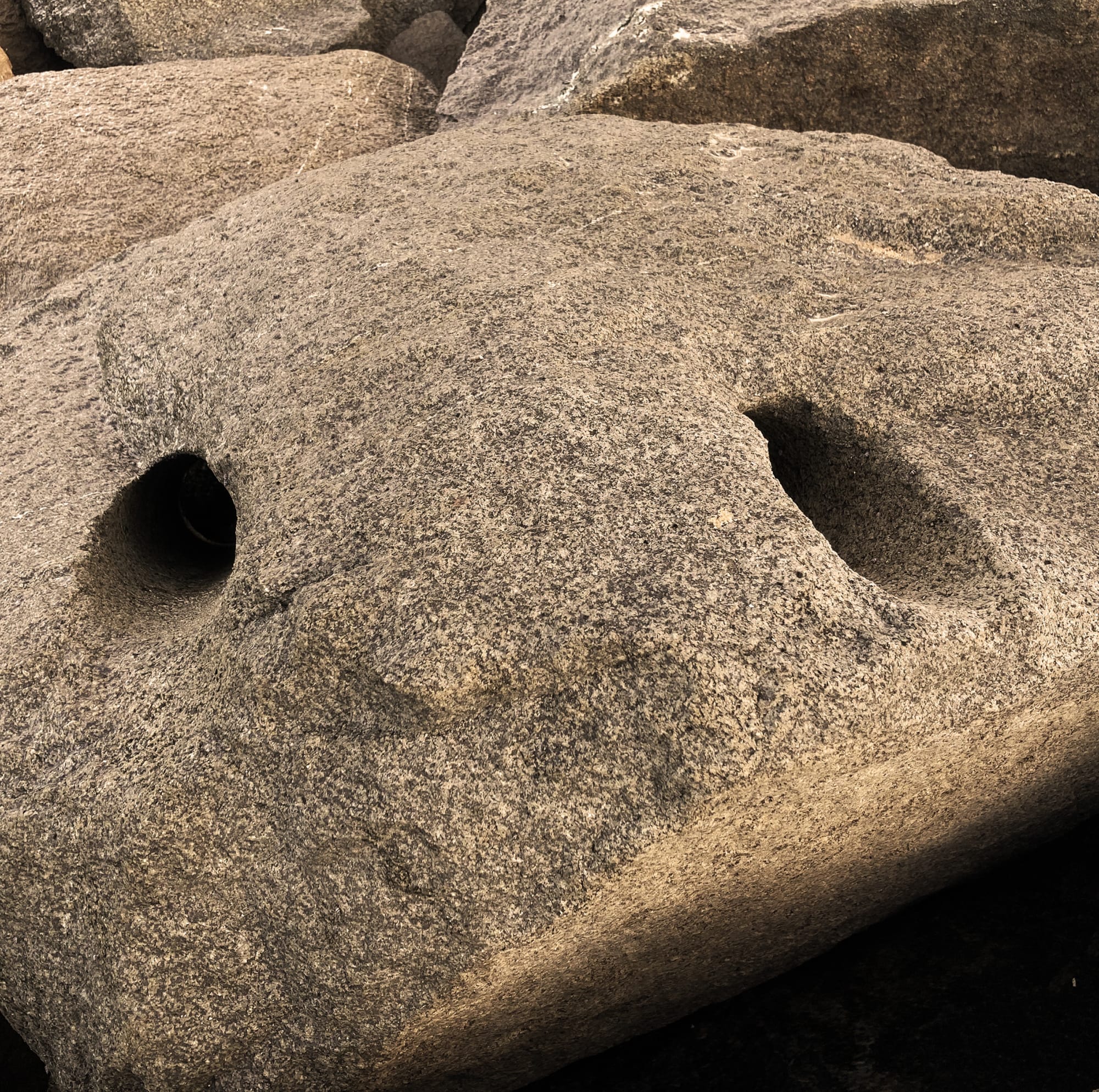 Dhara Rivera, Violencia al filo