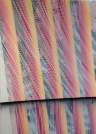 NANO RUBIO SUNBEAN, 2016