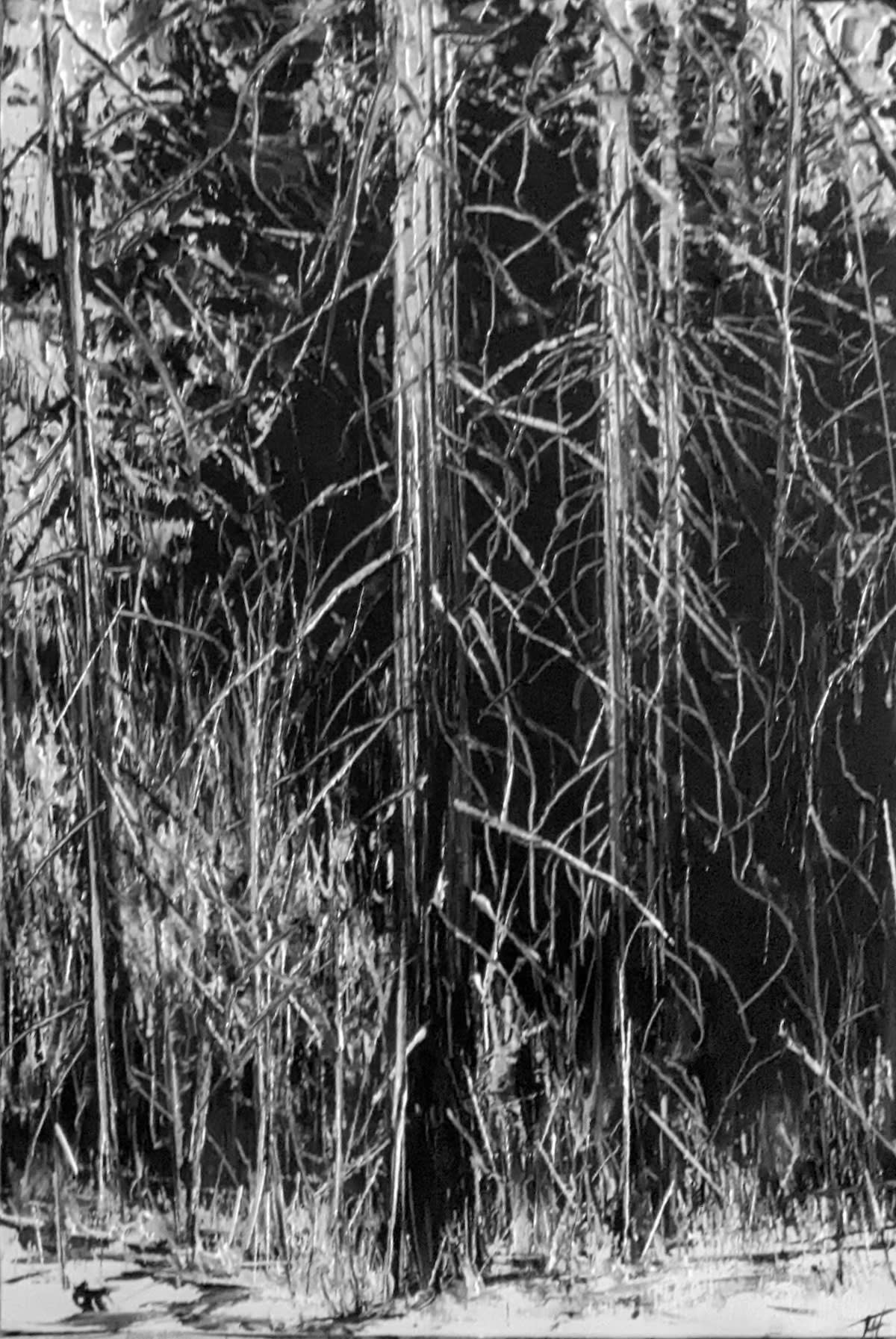 TODD CARPENTER CINDER, 2023