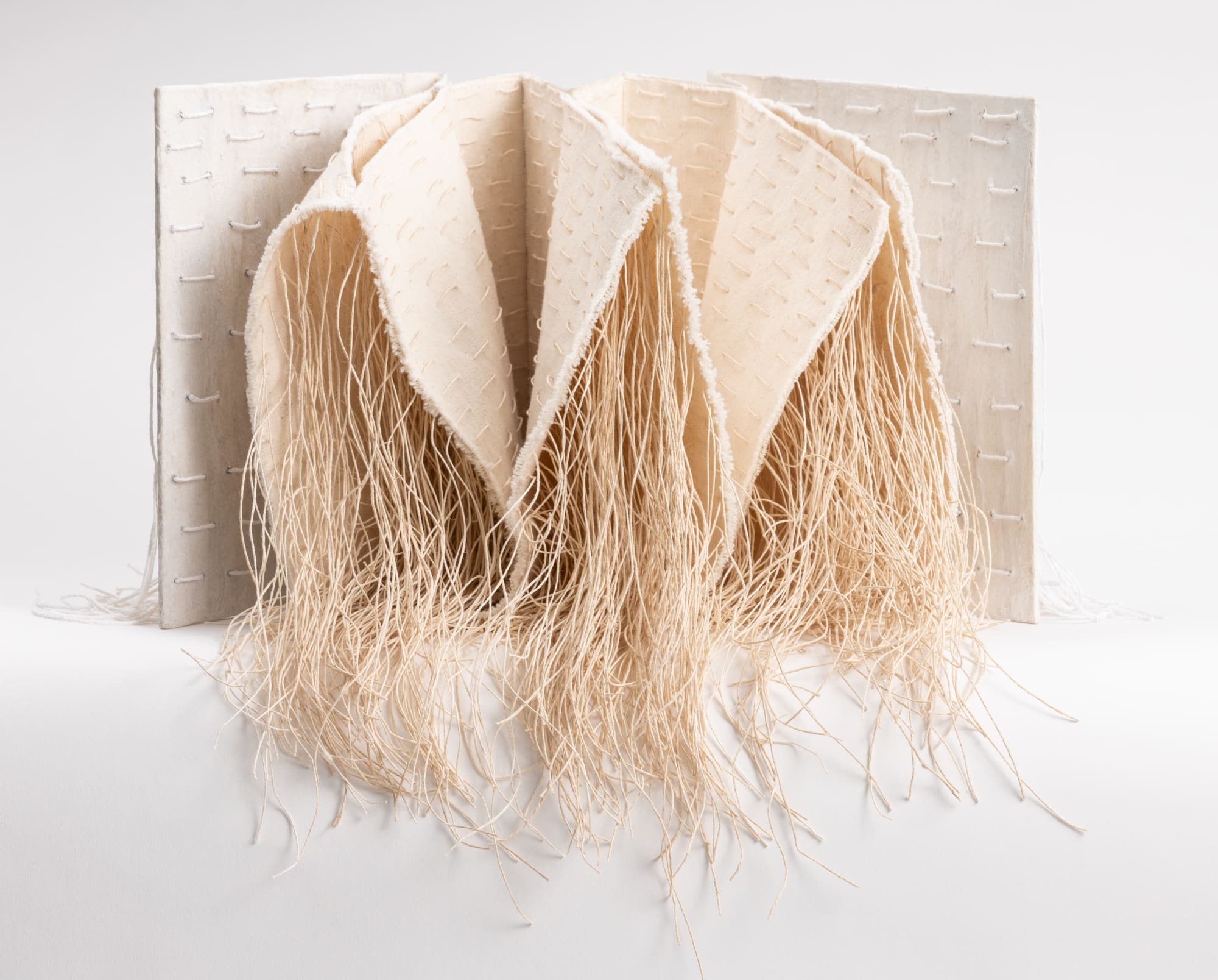 Debra Disman Profusion, 2018