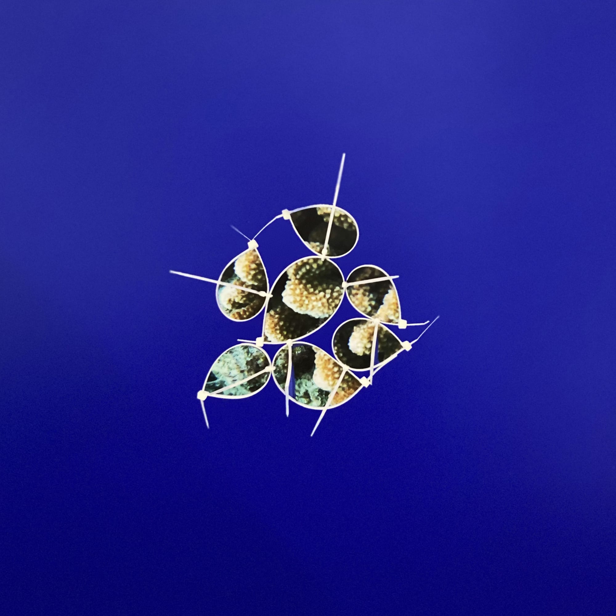 SNEŽANA SARASWATI PETROVIĆ Ringwoodite Hymn, 2024