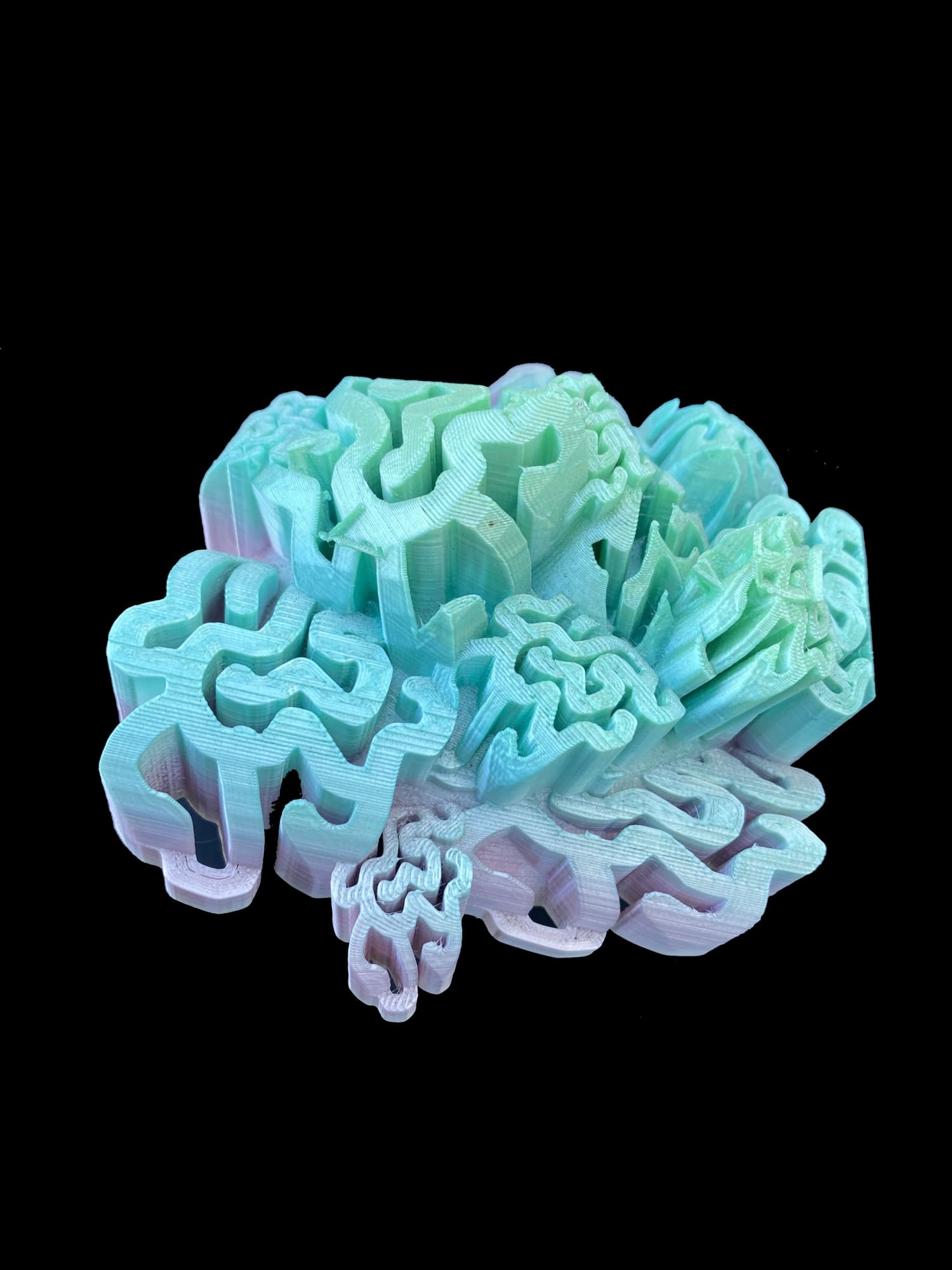 SNEŽANA SARASWATI PETROVIĆ Brain Coral (Large), 2024