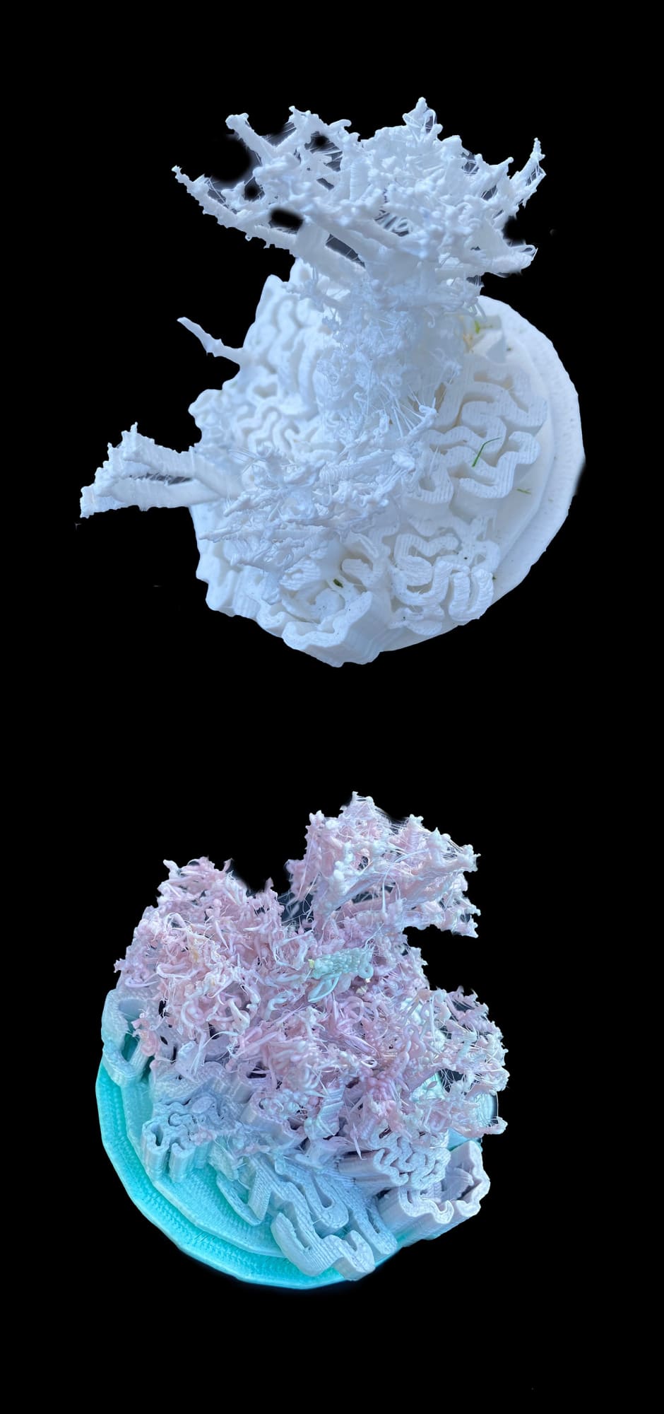 SNEŽANA SARASWATI PETROVIĆ Coral Song (Medium), 2024