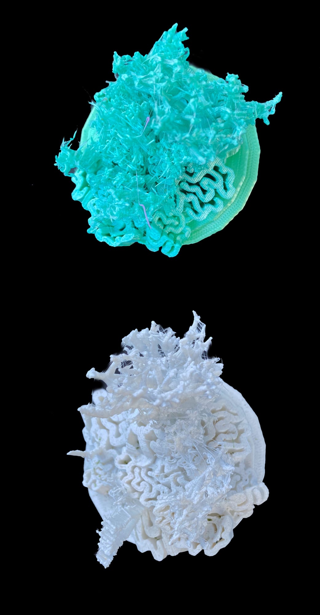 SNEŽANA SARASWATI PETROVIĆ Coral Song (Small), 2024