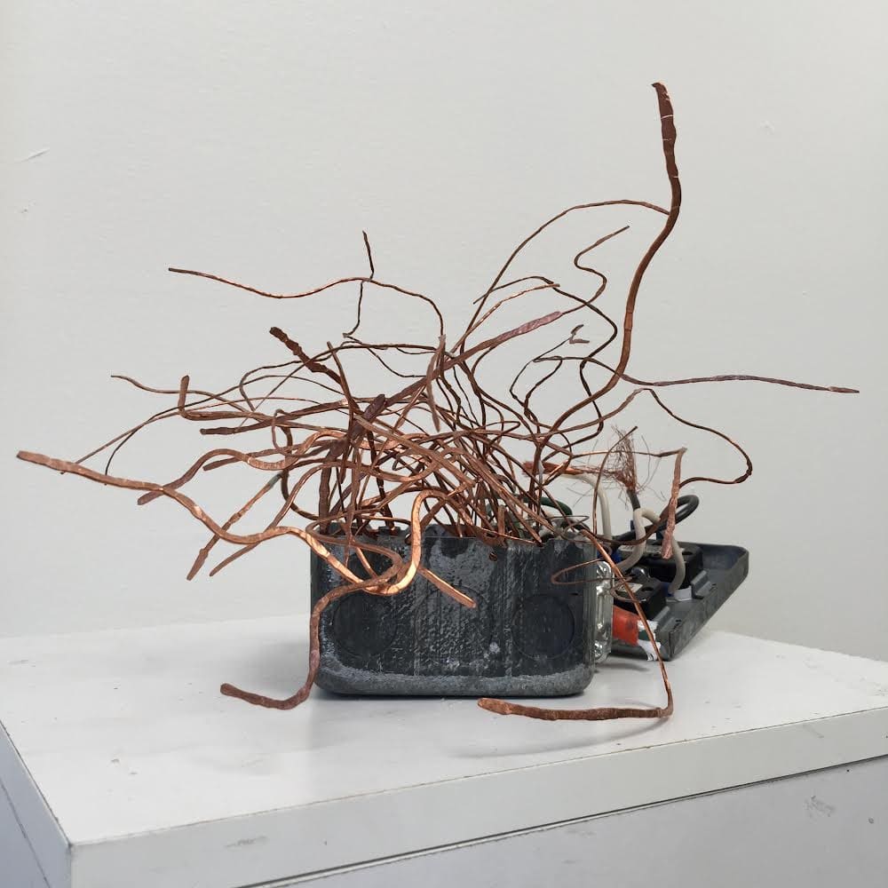 Chenhung Chen & Snežana Saraswati Petrović's bLAh, bLAh, bLAh