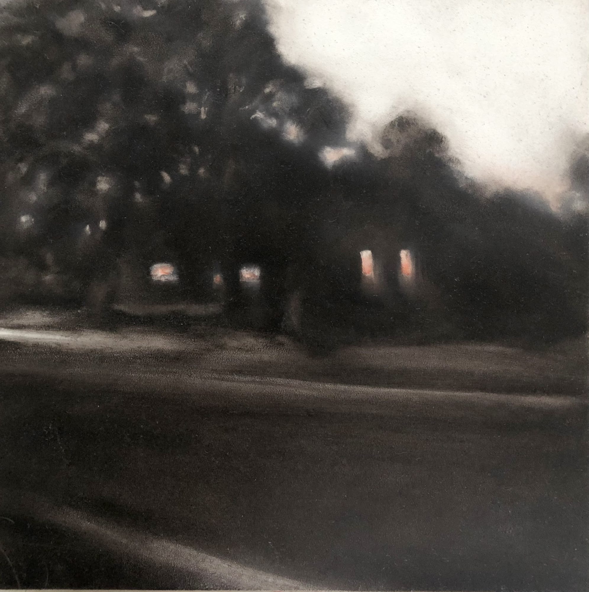 LYNNE MCDANIEL Just Looking, 2024