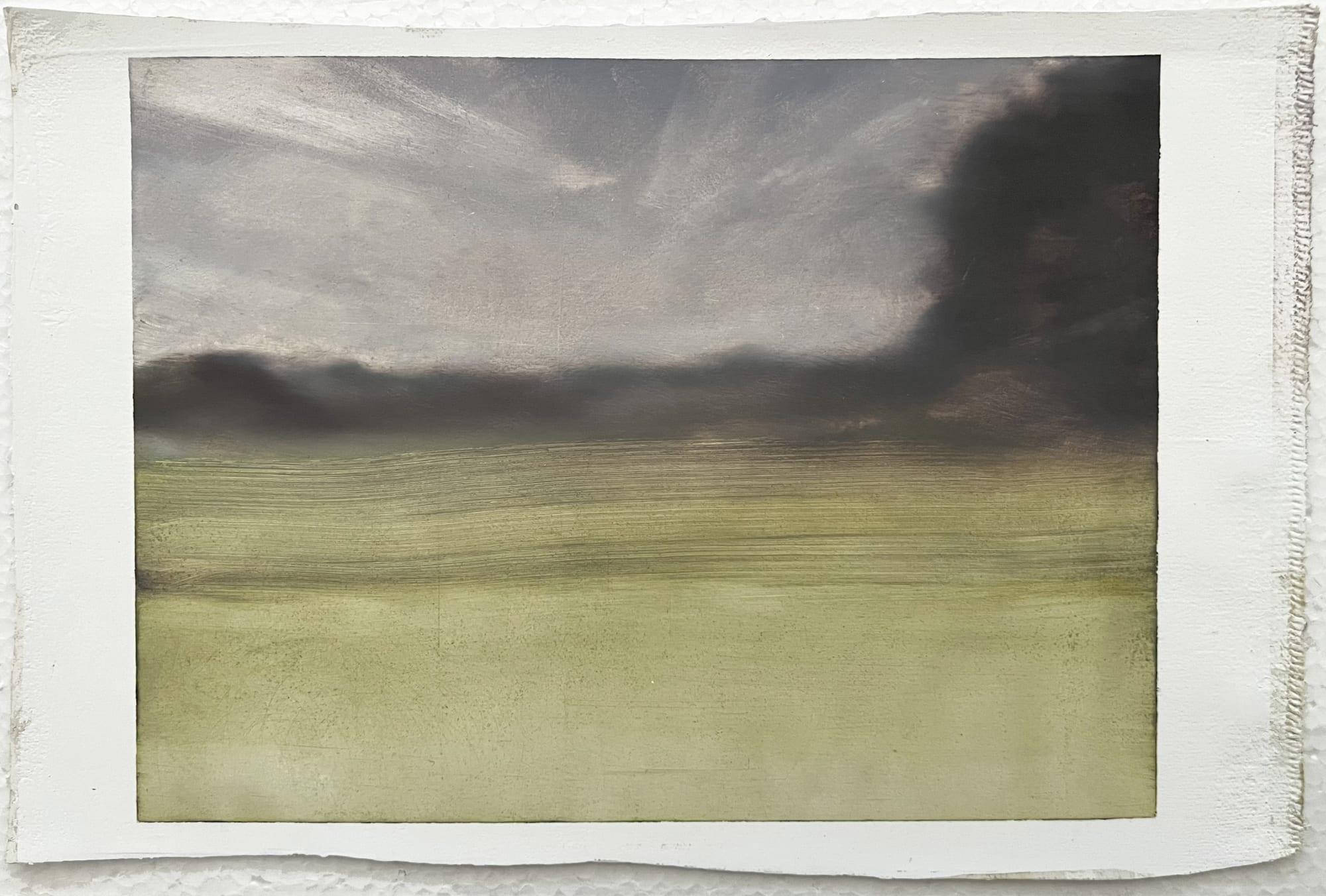 LYNNE MCDANIEL View study (horizontal), 2024