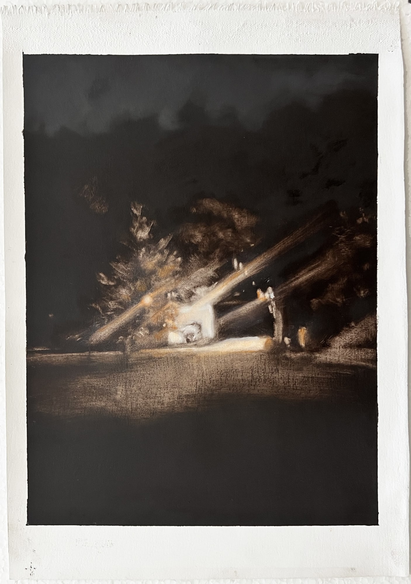 LYNNE MCDANIEL Shiny, 2024