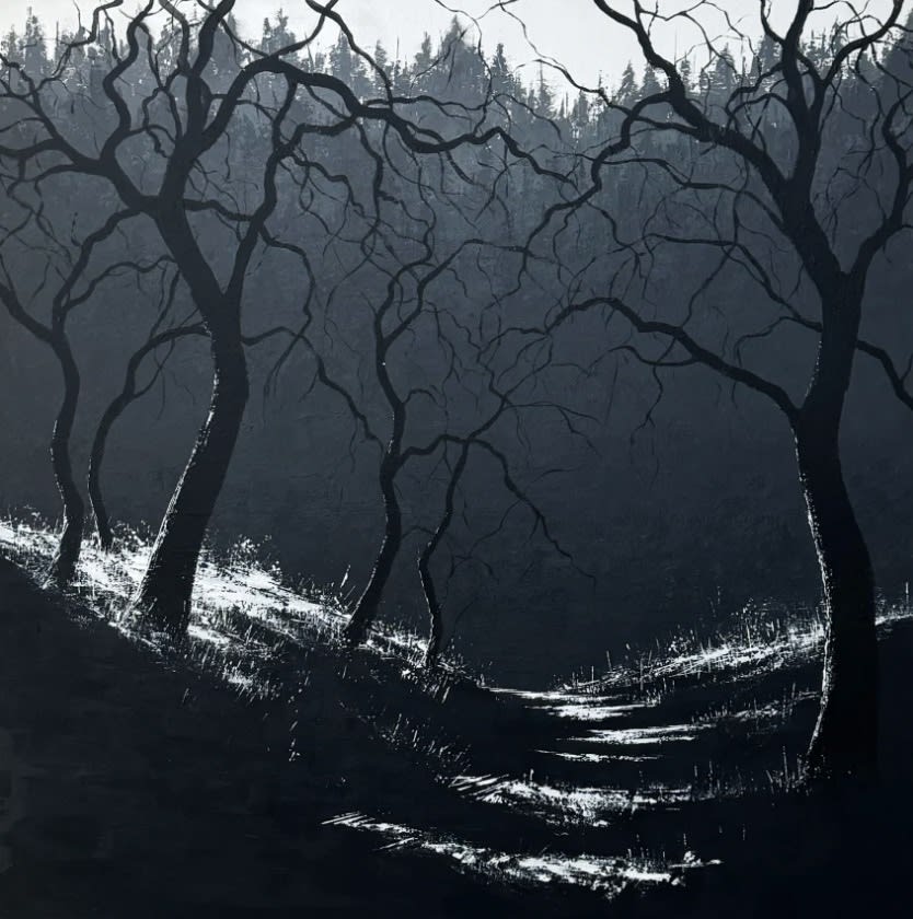 TODD CARPENTER Summer Shade, 2024