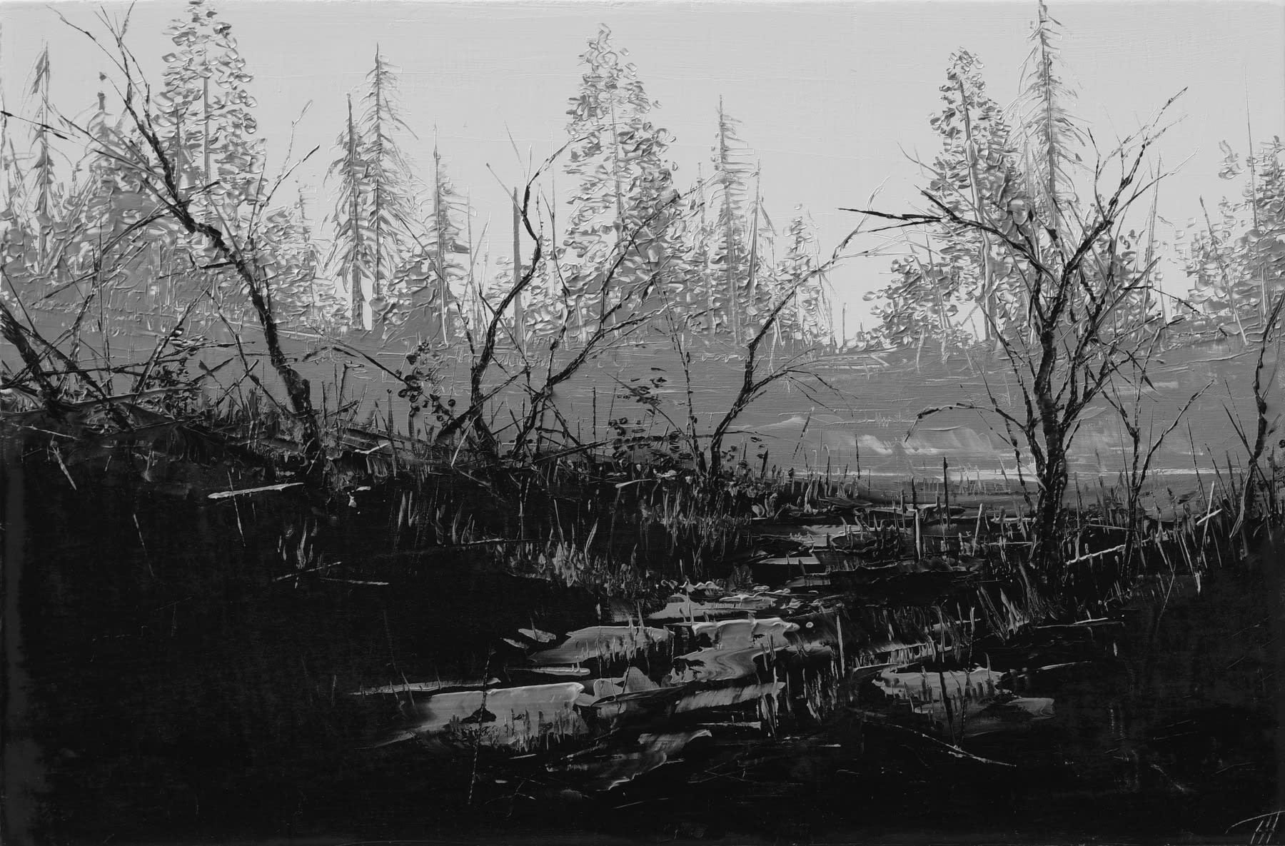 TODD CARPENTER Season of succession, 2023