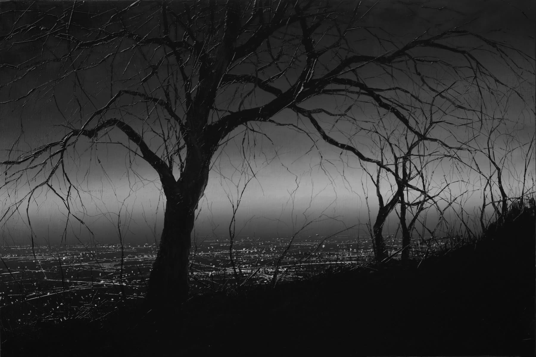 TODD CARPENTER Under sheltered, 2025