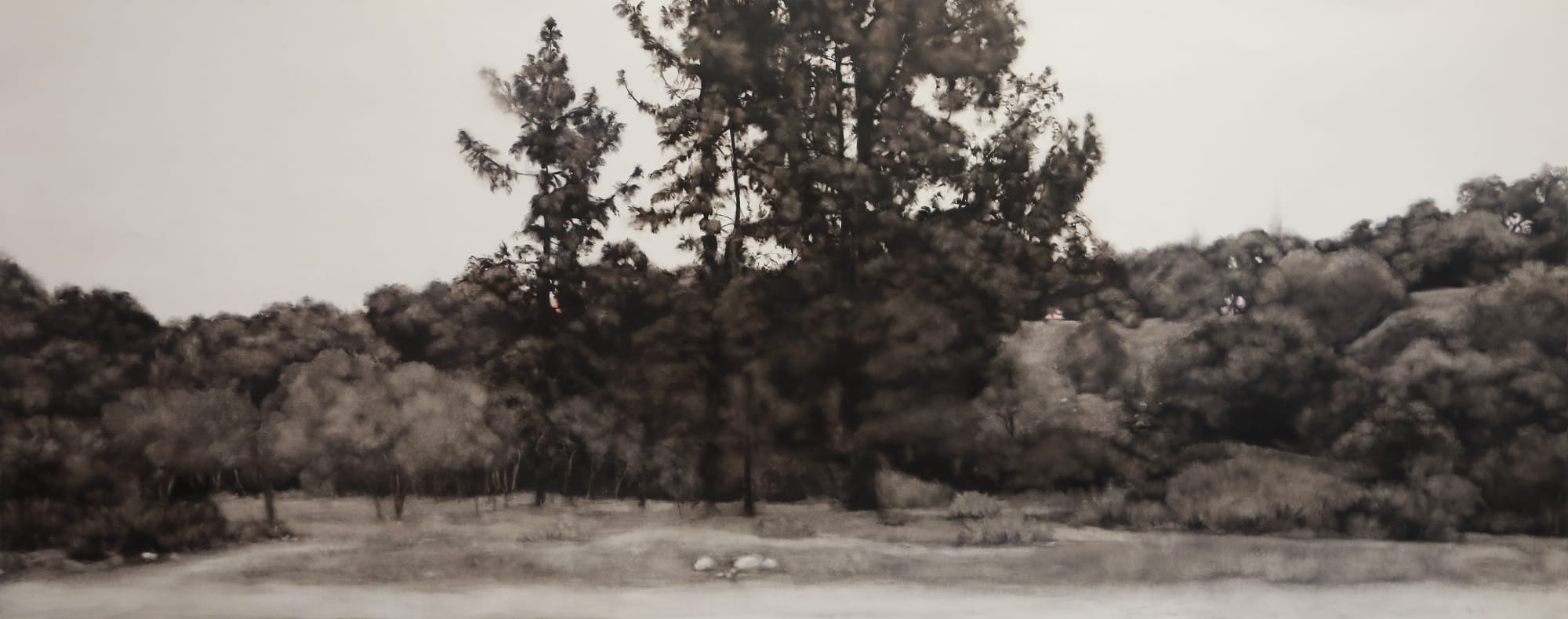 Lynne McDaniel, East Bank - 2019