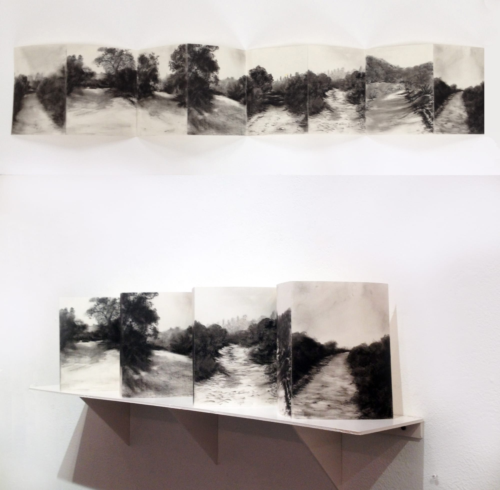 Lynne McDaniel, January - 2015