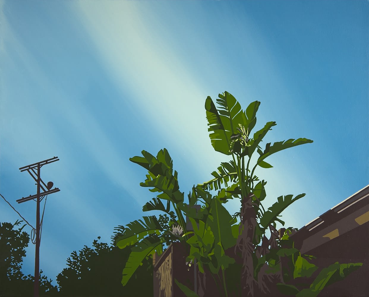 Lindsey Warren, NELA Paradise - 2019