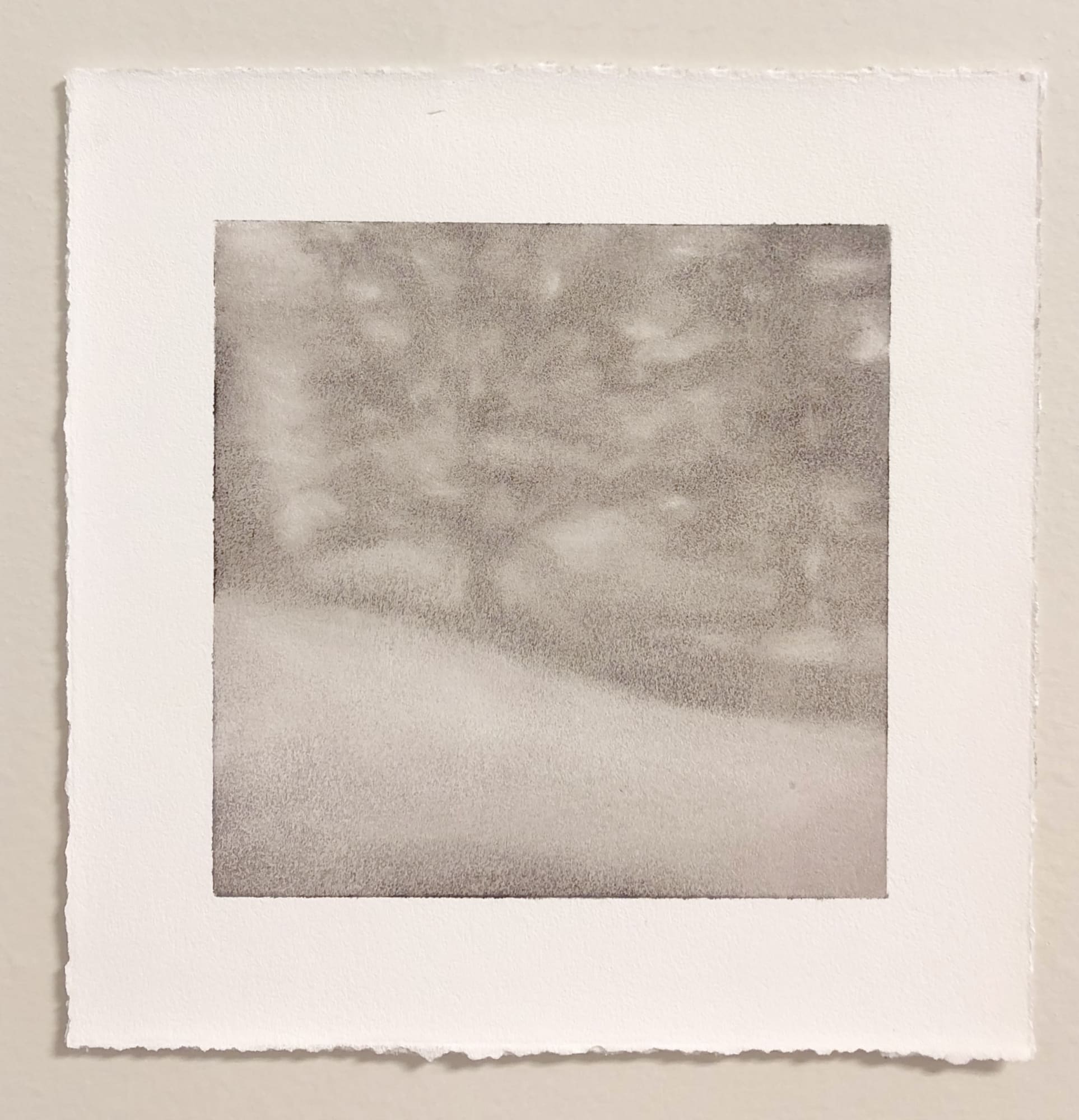 Lynne McDaniel, Winter - 2019