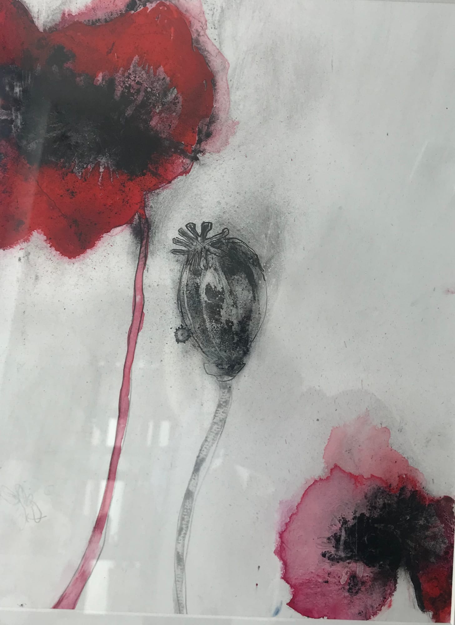 Jo Ann Belson, Pretty Poison Series 4 - 2019