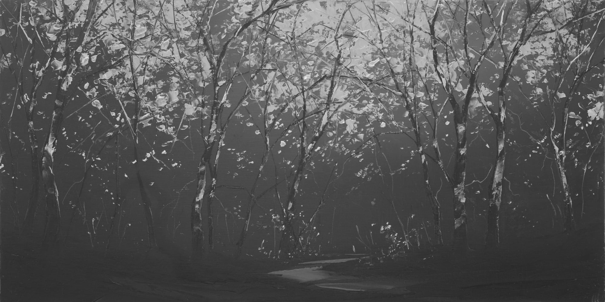 Todd Carpenter, Dark Dissected - 2019