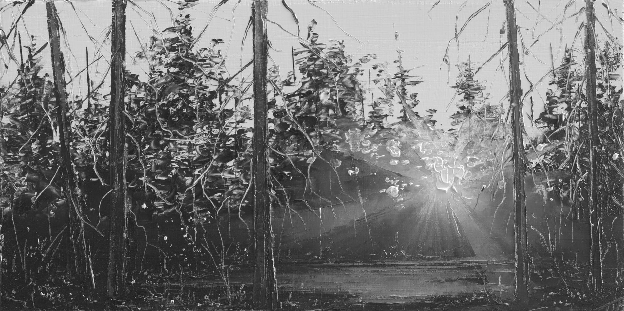 Todd Carpenter, Drops Left By Above - 2019