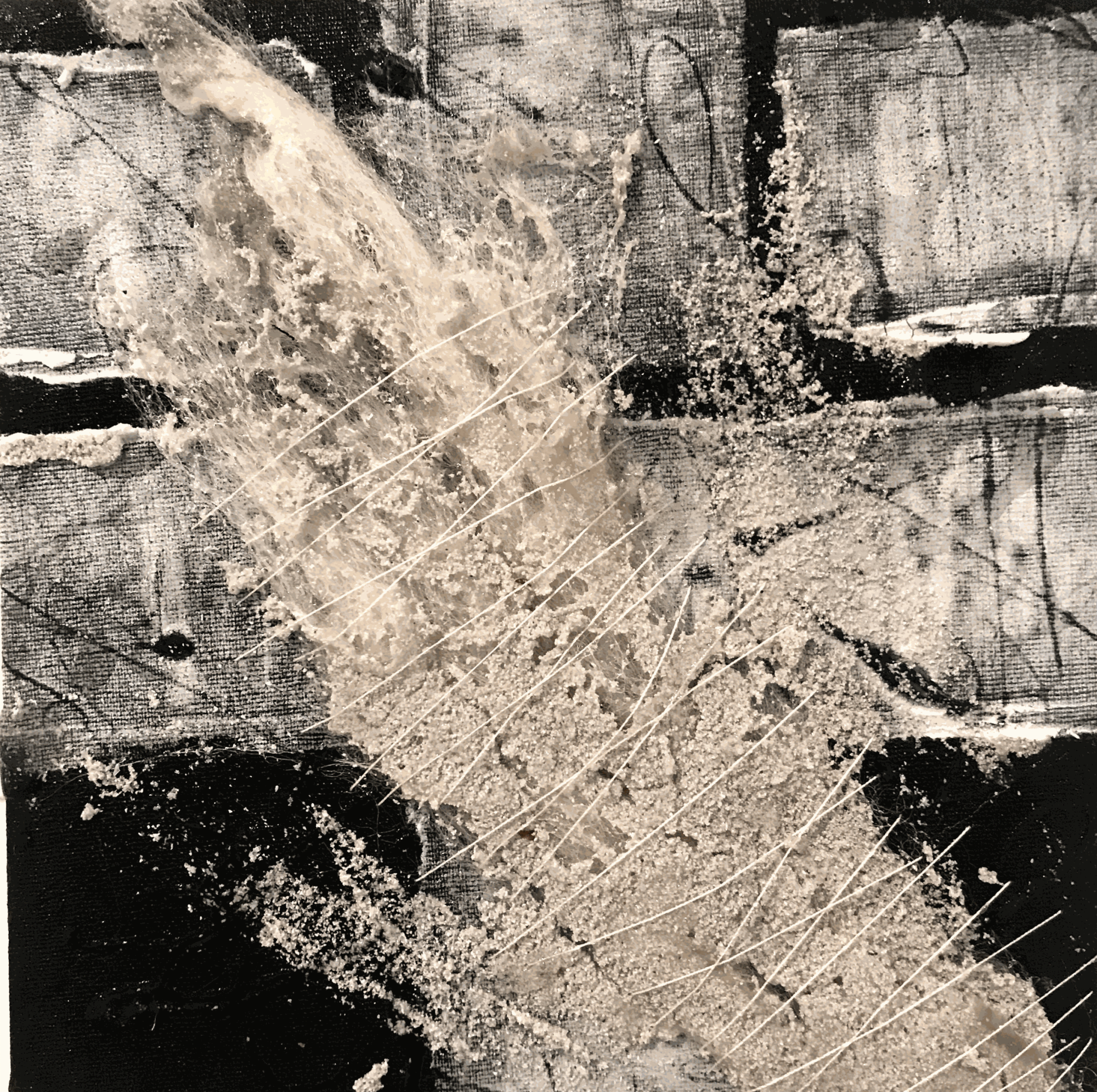 Joy Ray, Artifact (assassins) - 2018