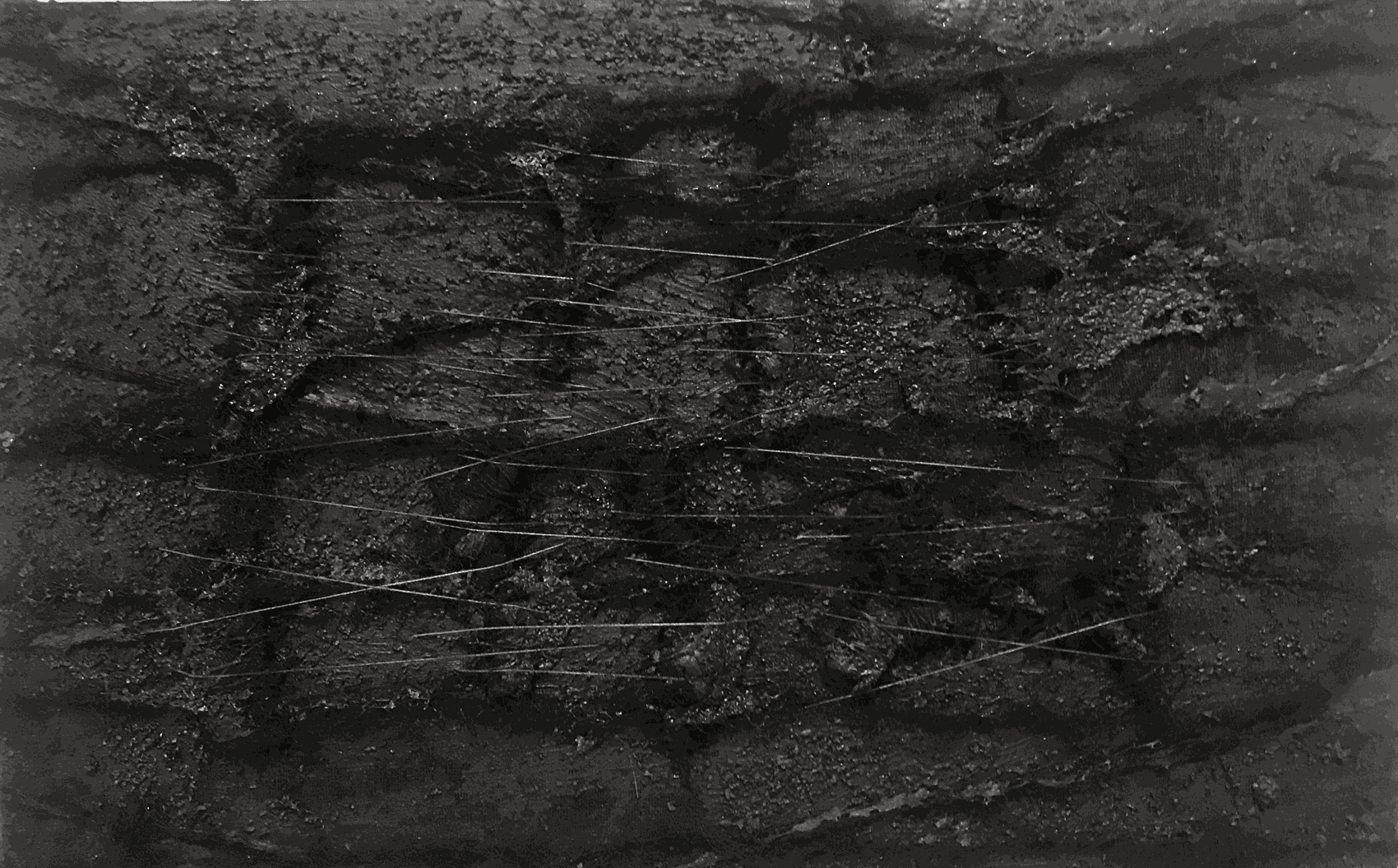 Joy Ray, Artifact (senescence) - 2018