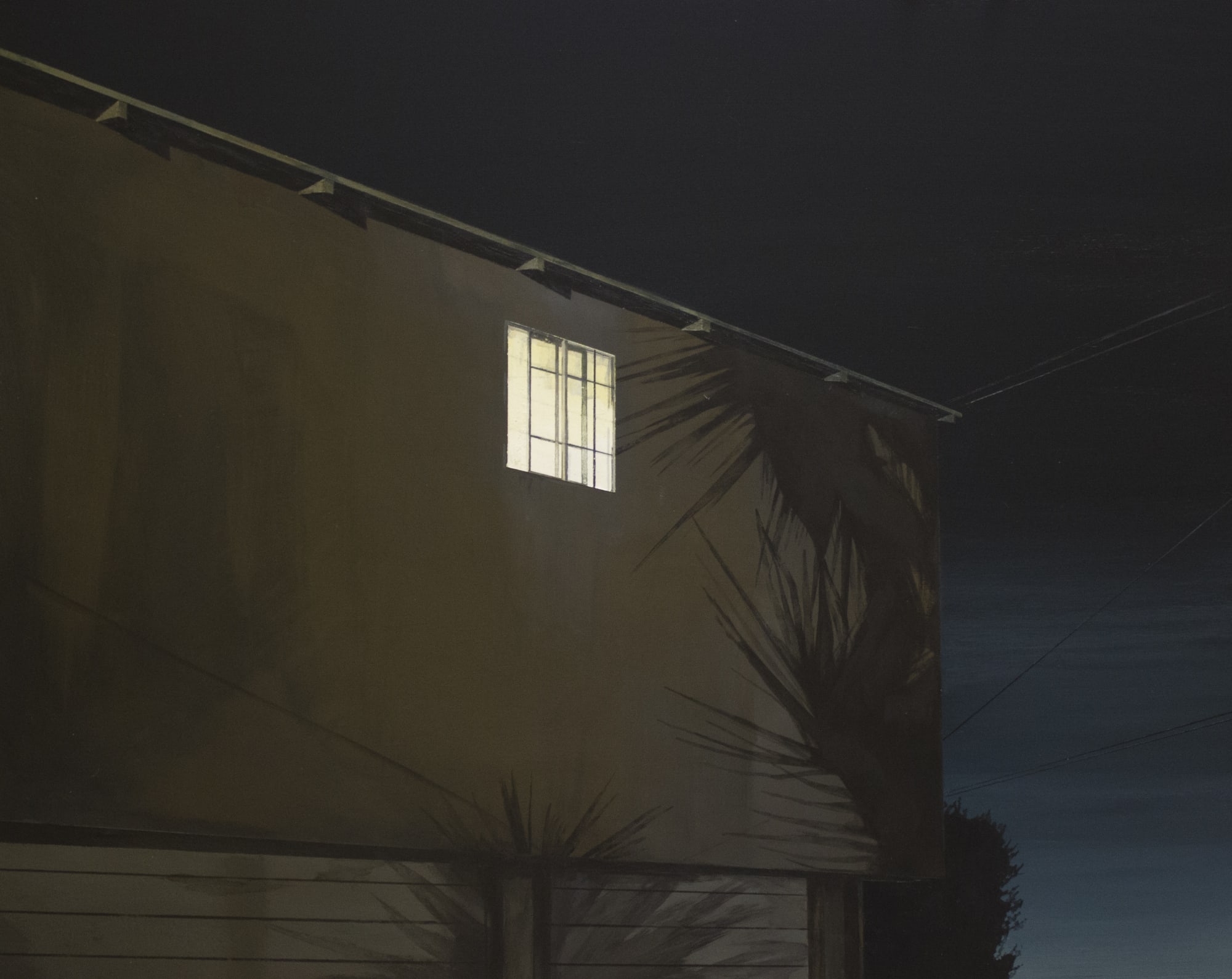 Solitary Shadows + Fine Line